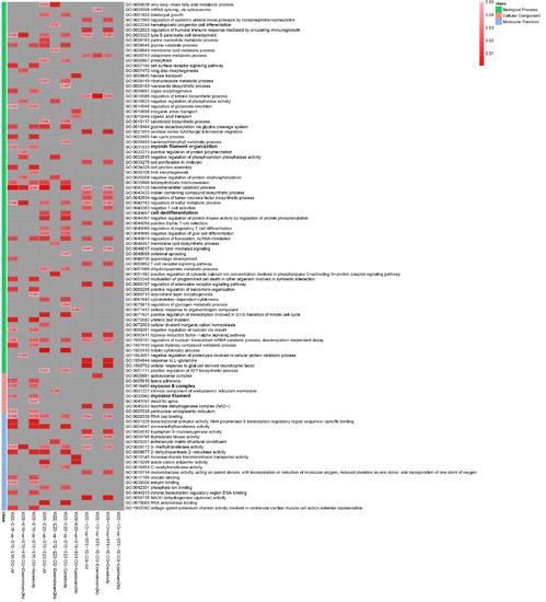 Cheats for GTA 5 :) by Di Zhang