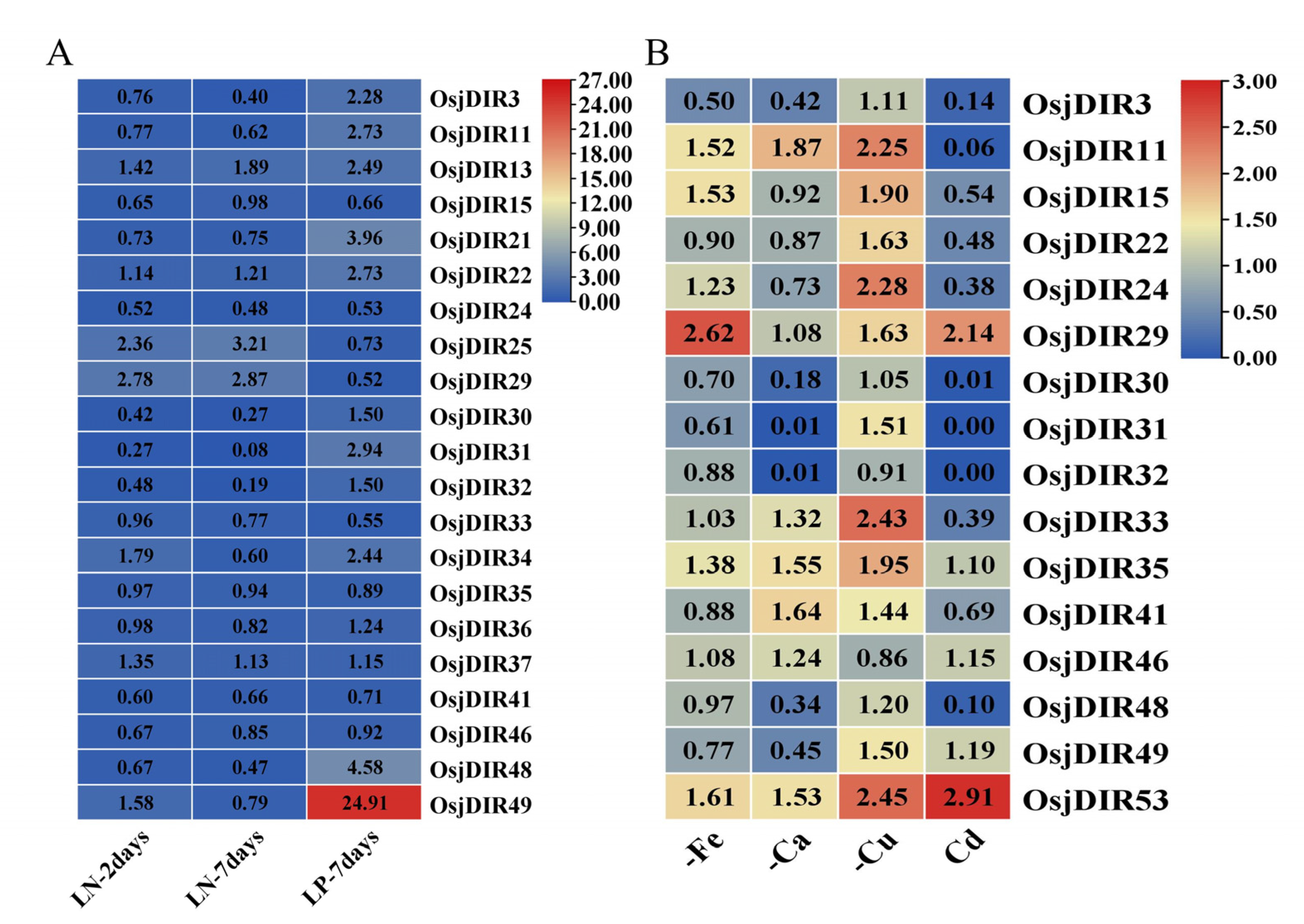 Ijms 24 07189 g006 Ijms 24 07189 g006