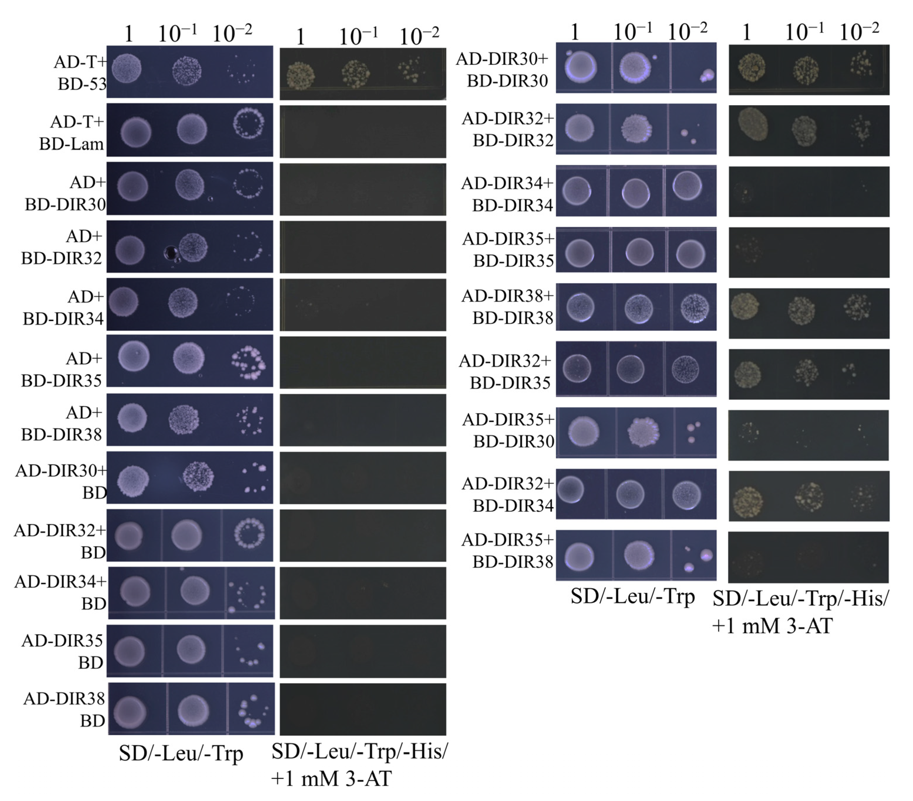 Ijms 24 07189 g008 Ijms 24 07189 g008