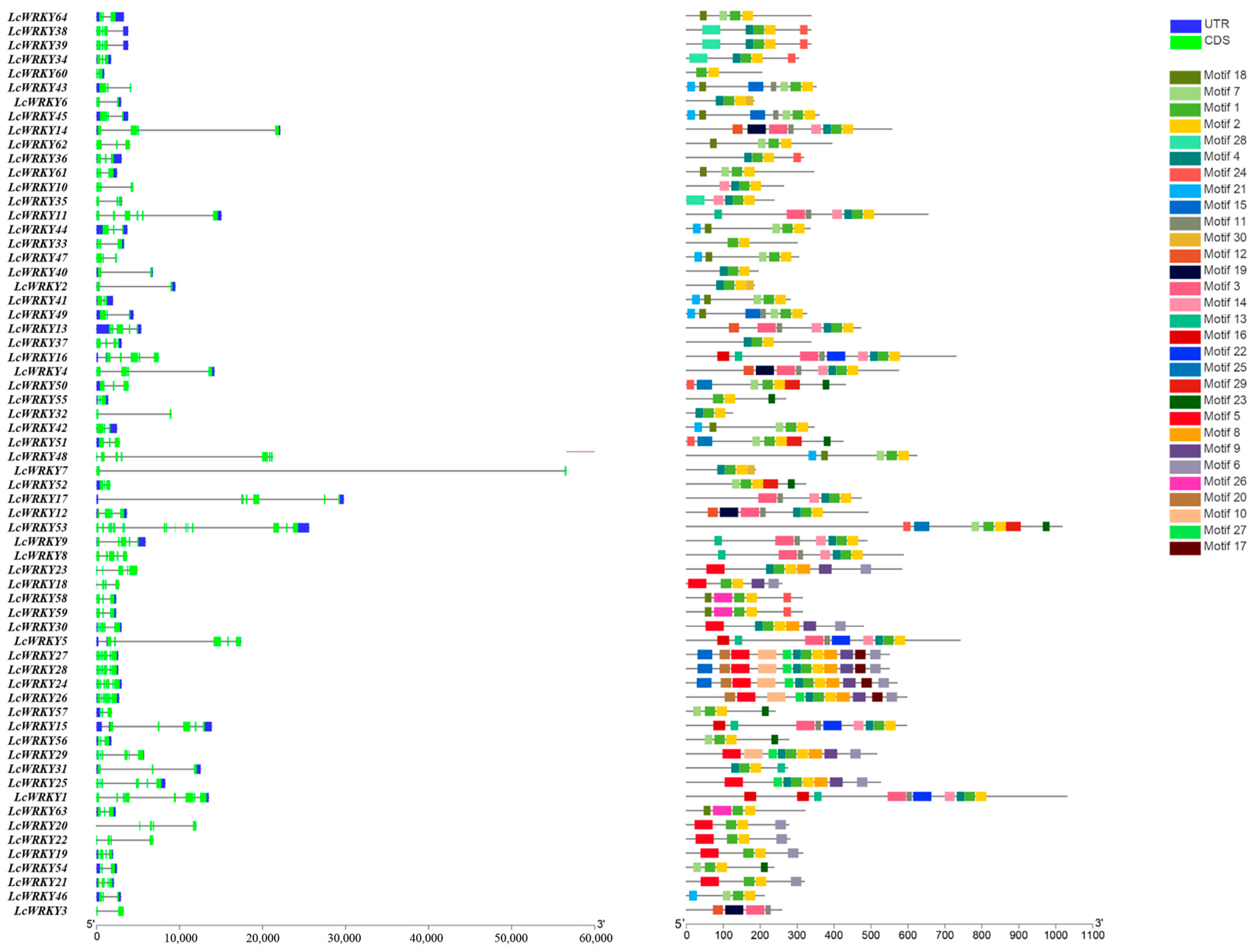 Ijms 24 07210 g001 Ijms 24 07210 g001