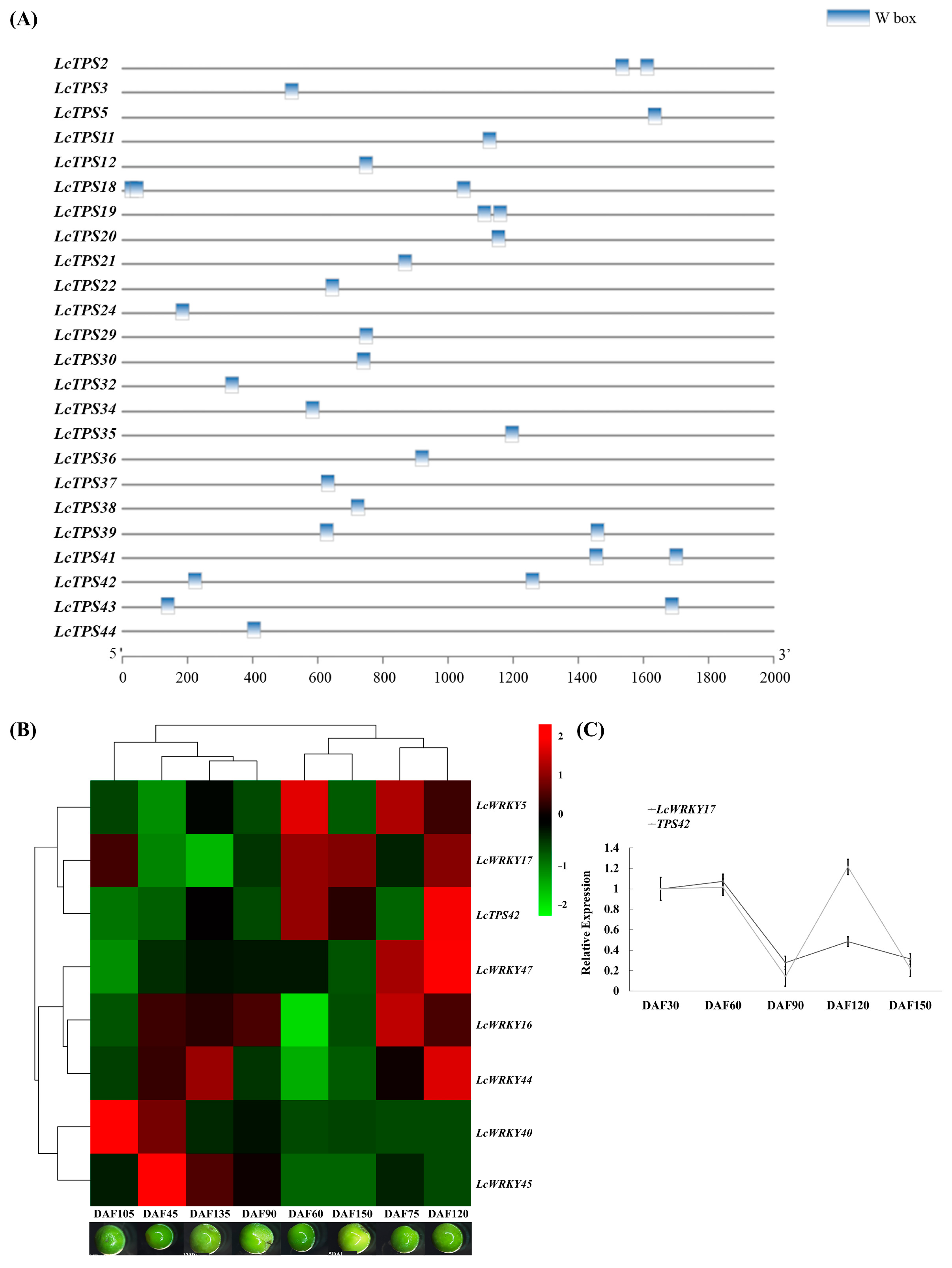 Ijms 24 07210 g003 Ijms 24 07210 g003