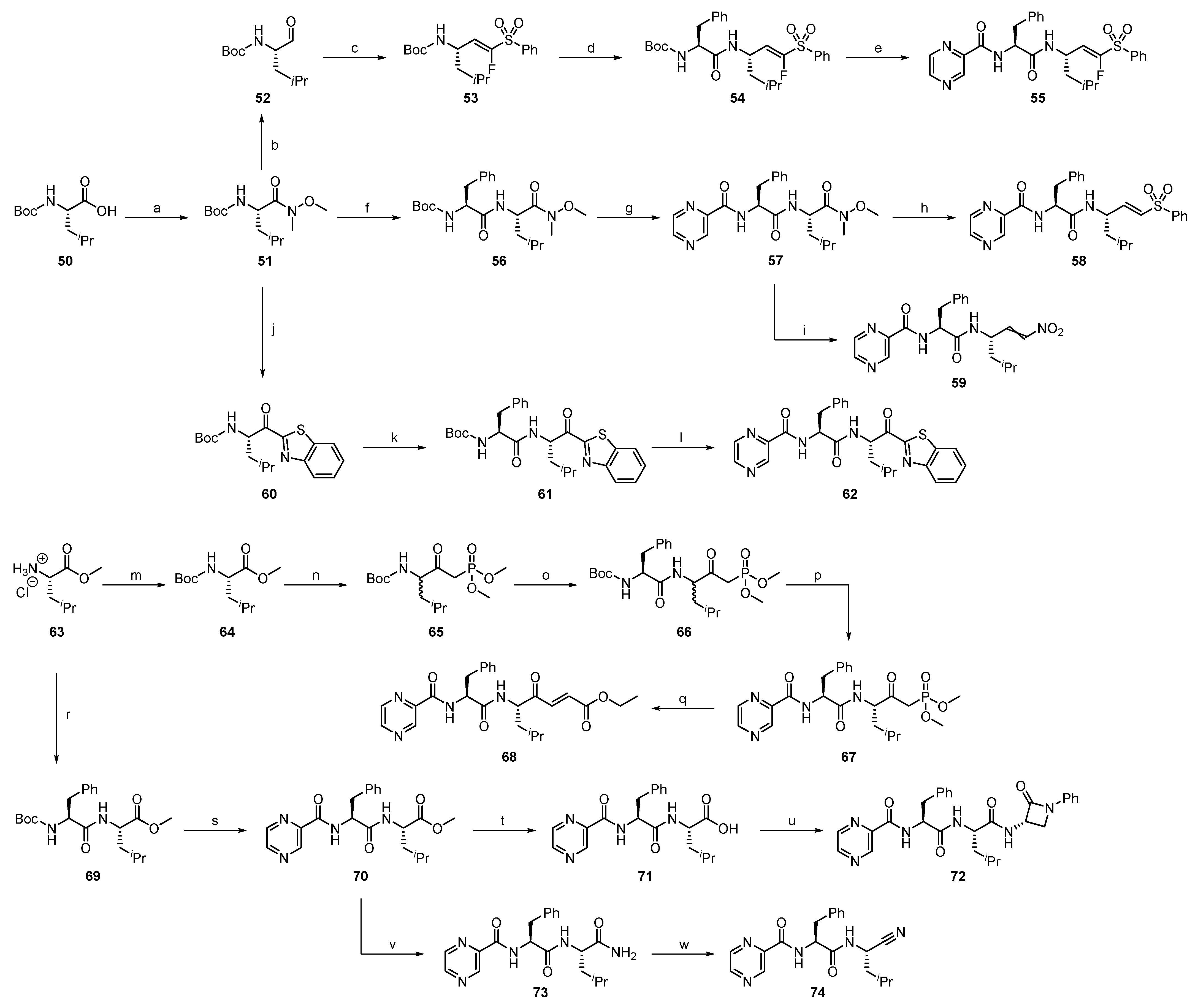 Ijms 24 07226 sch004