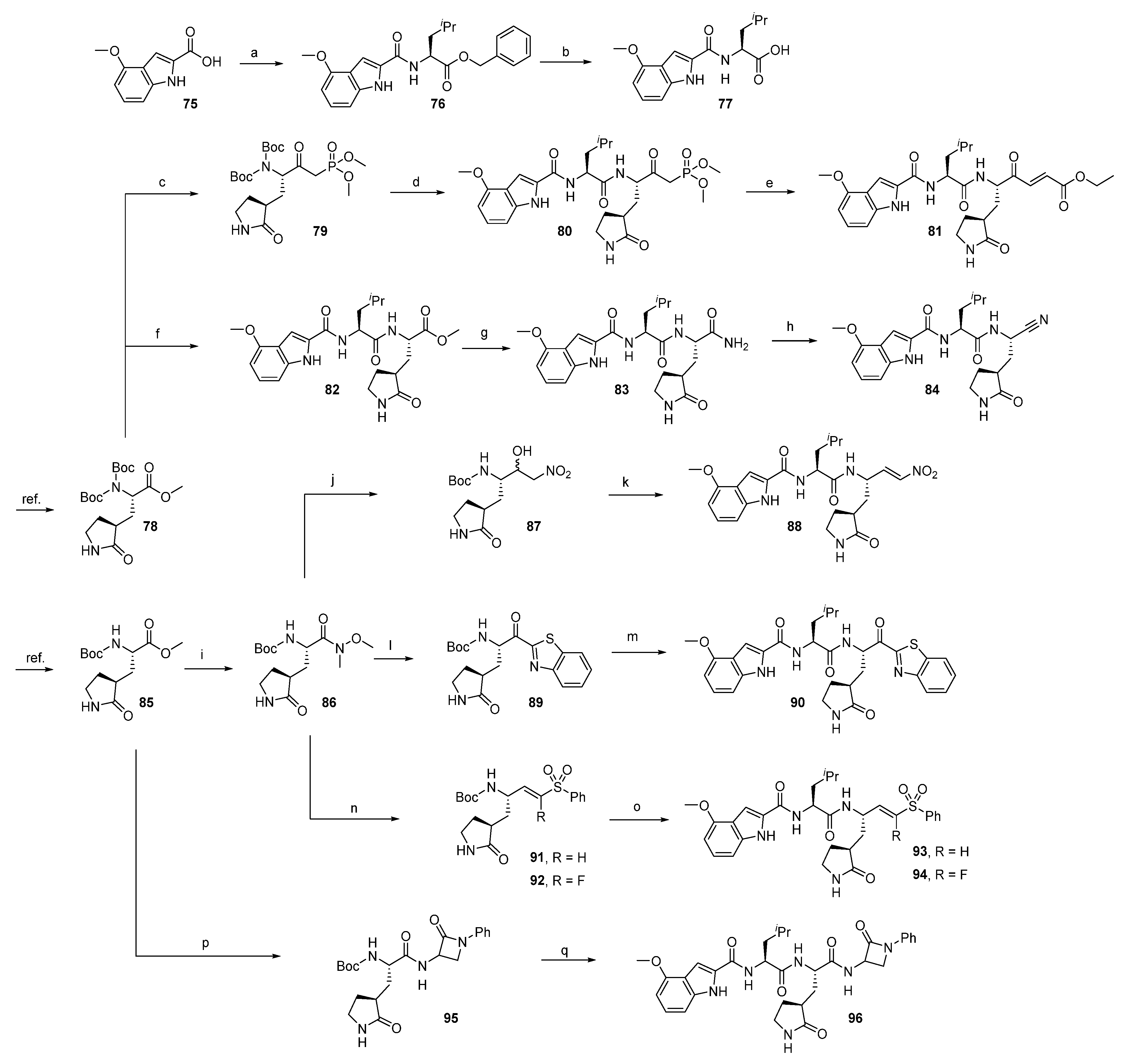 Ijms 24 07226 sch005