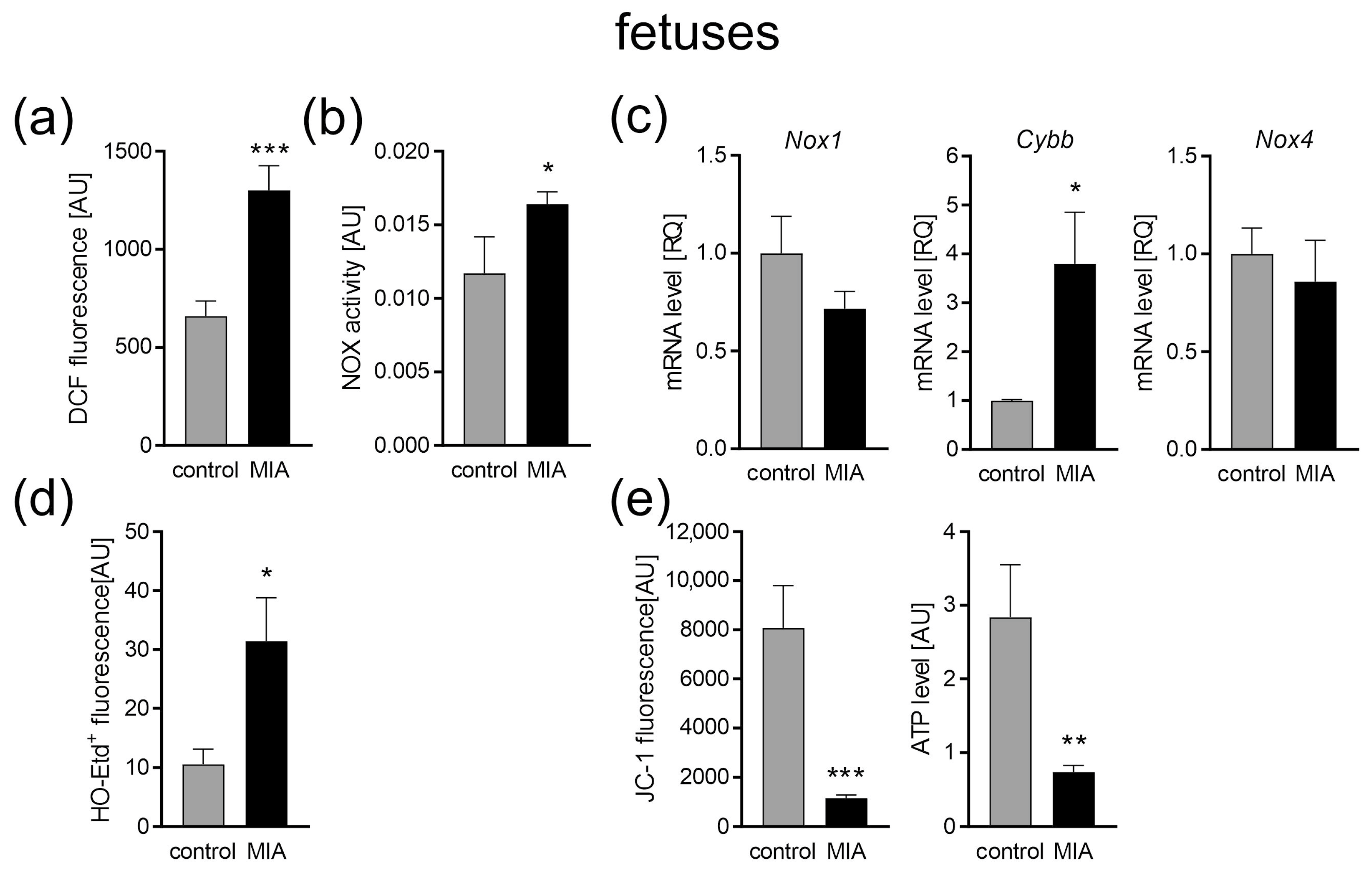 Ijms 24 07243 g002 Ijms 24 07243 g002
