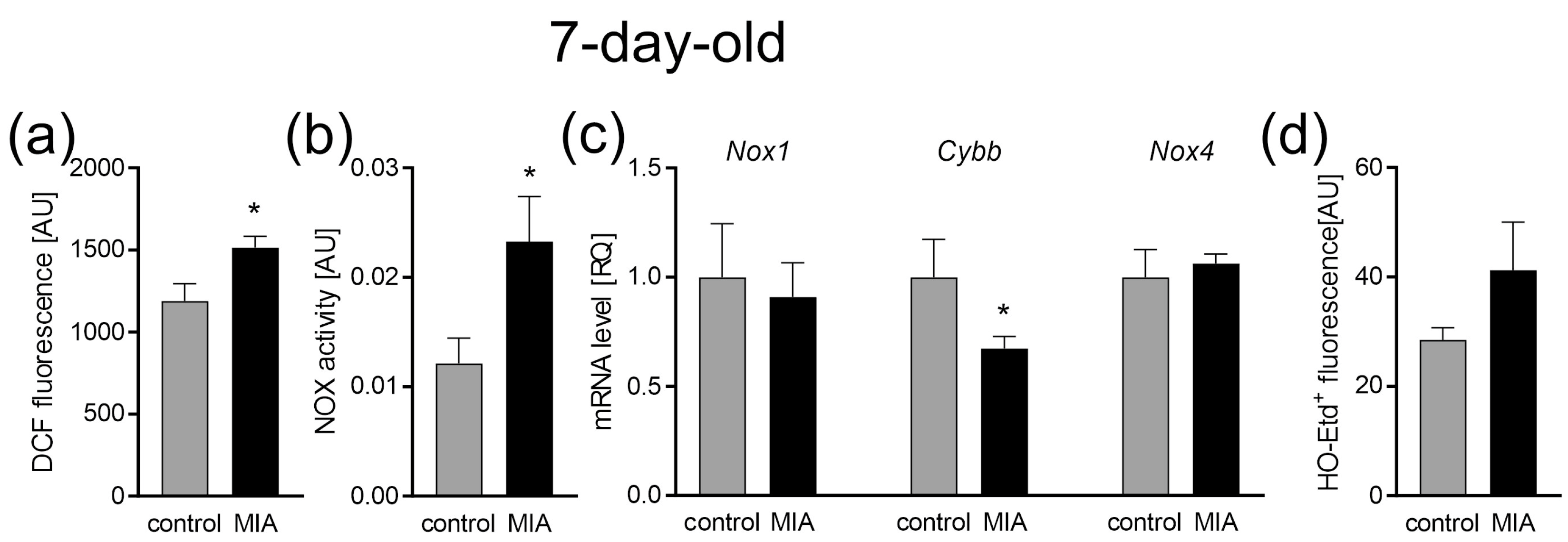 Ijms 24 07243 g003 Ijms 24 07243 g003