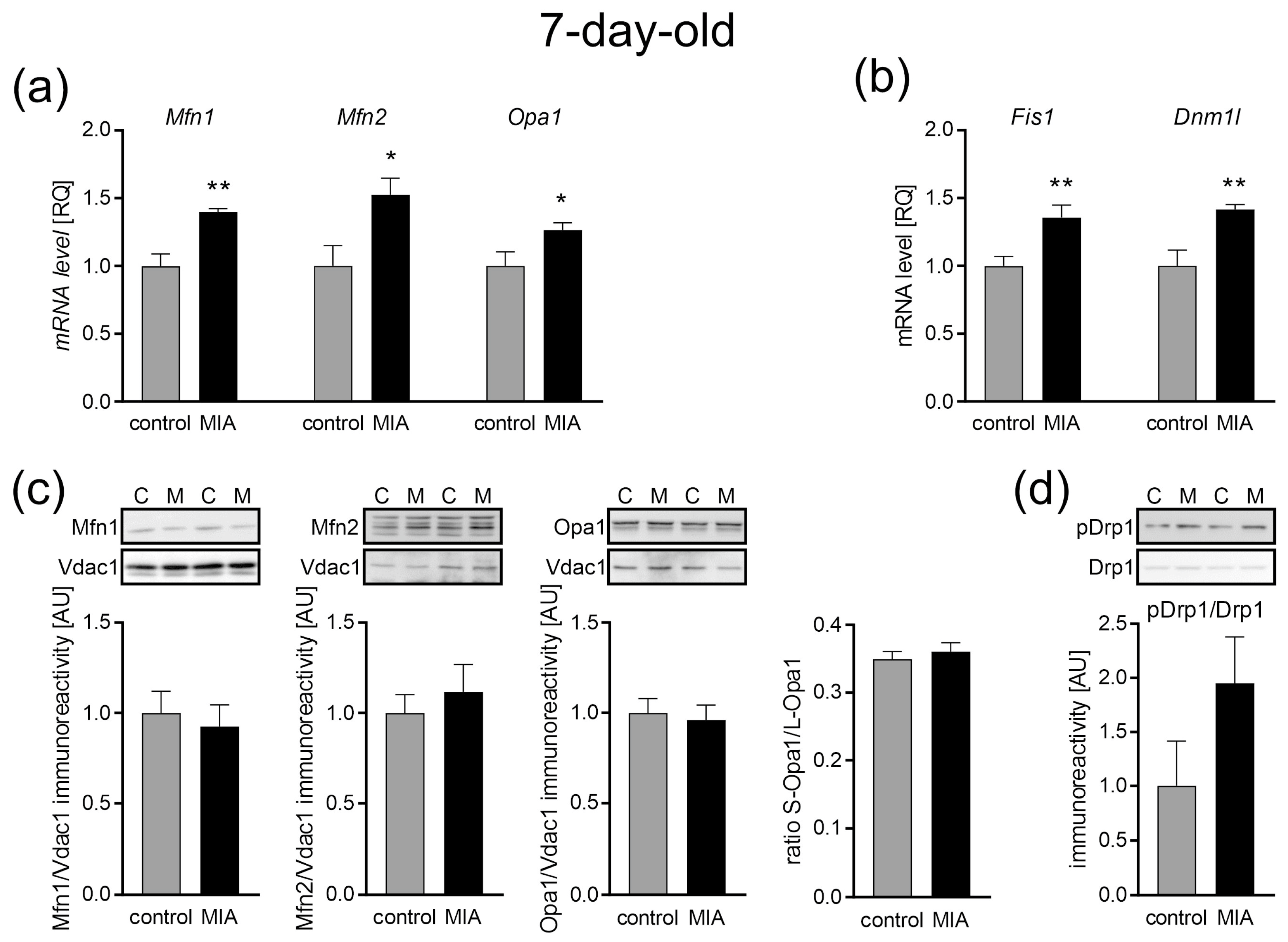 Ijms 24 07243 g005 Ijms 24 07243 g005