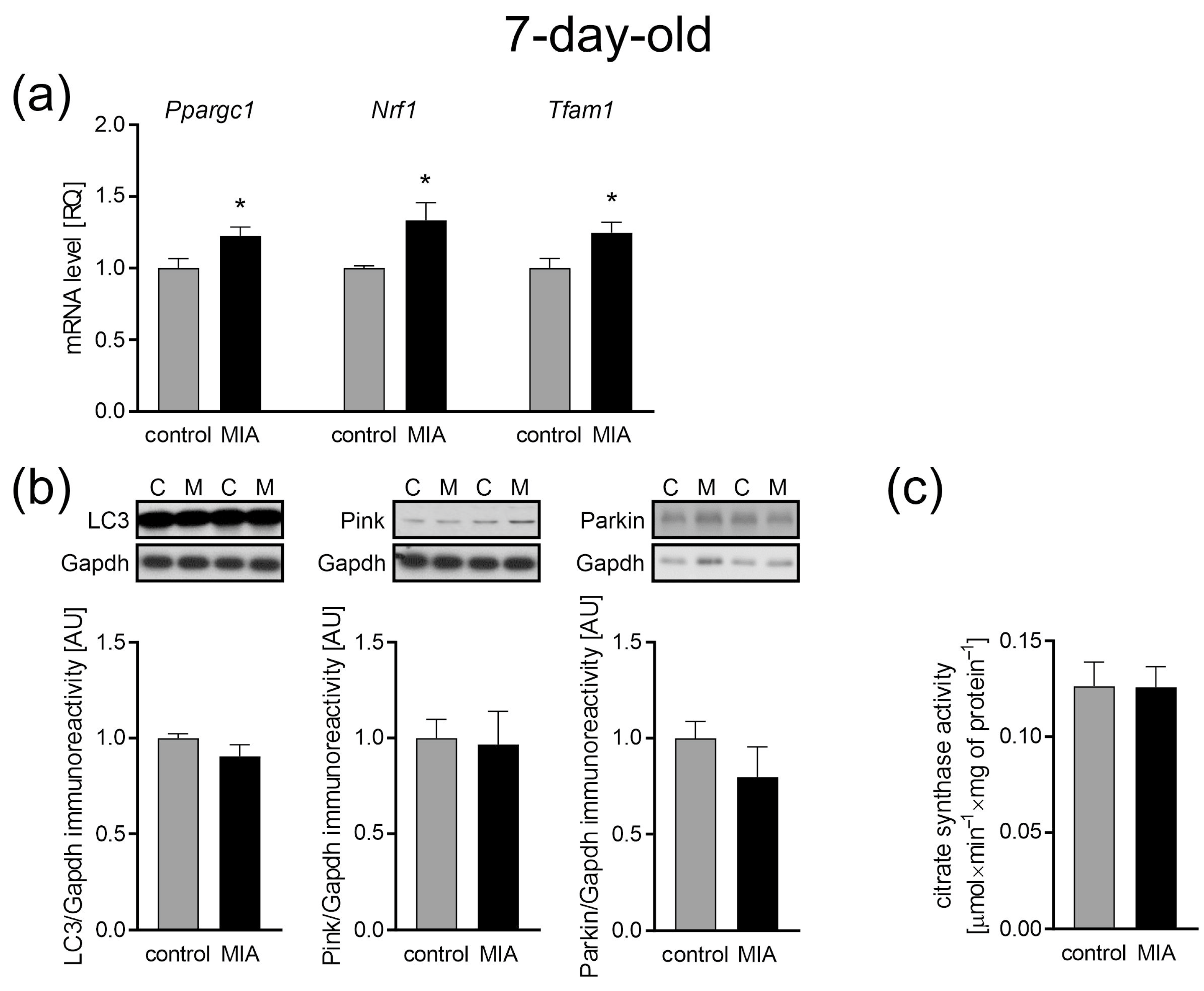Ijms 24 07243 g006 Ijms 24 07243 g006