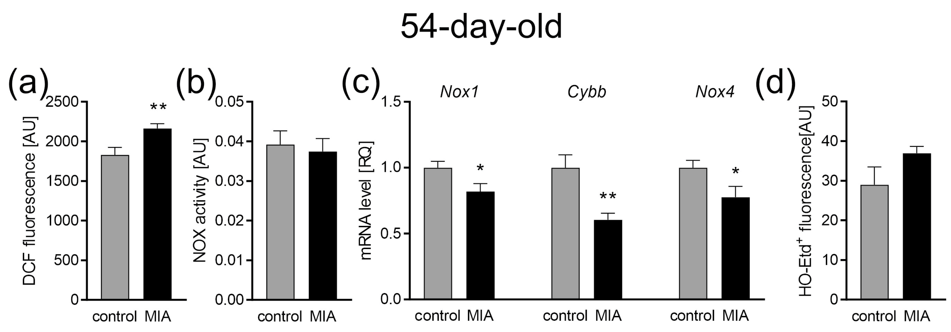 Ijms 24 07243 g007 Ijms 24 07243 g007