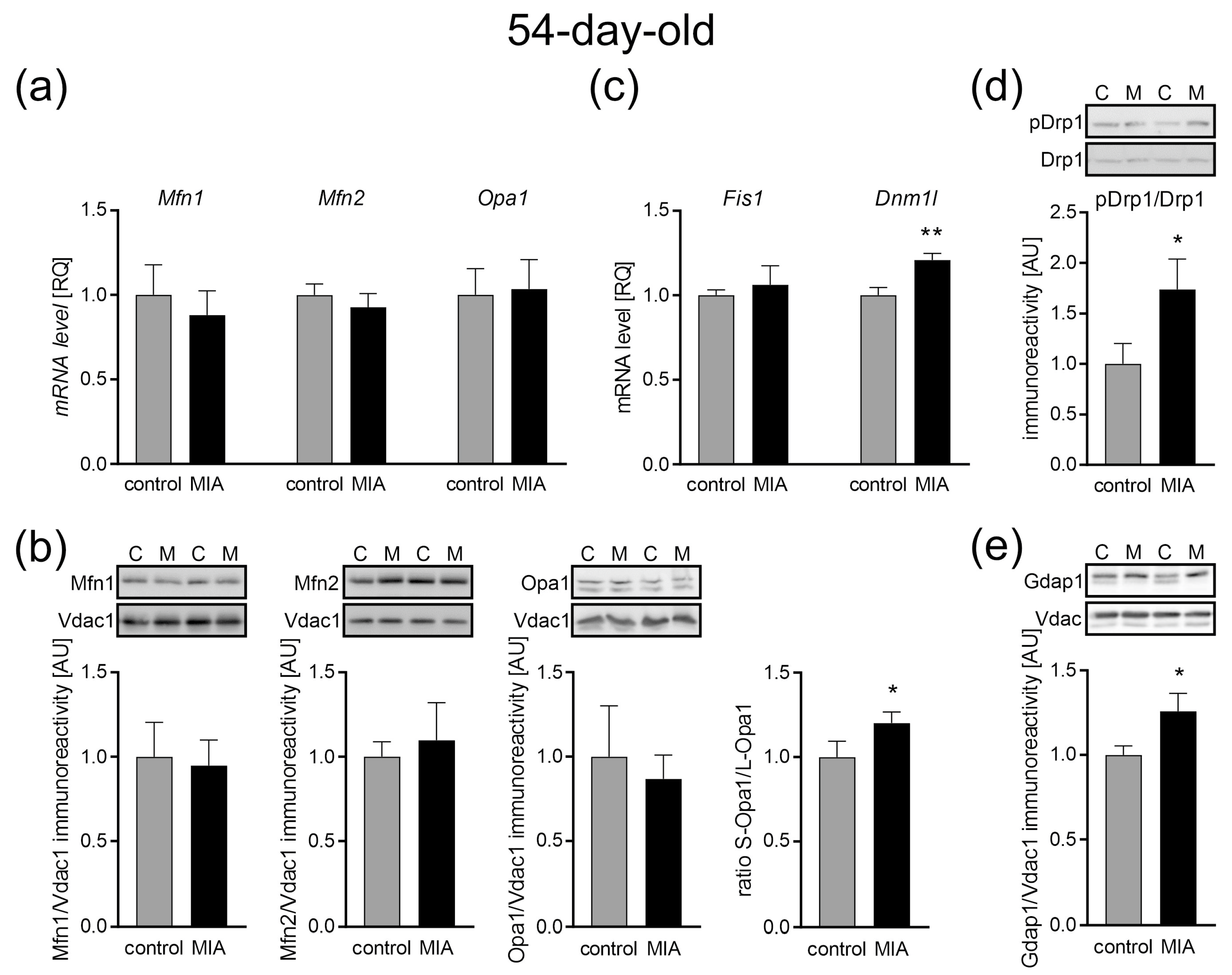 Ijms 24 07243 g009 Ijms 24 07243 g009