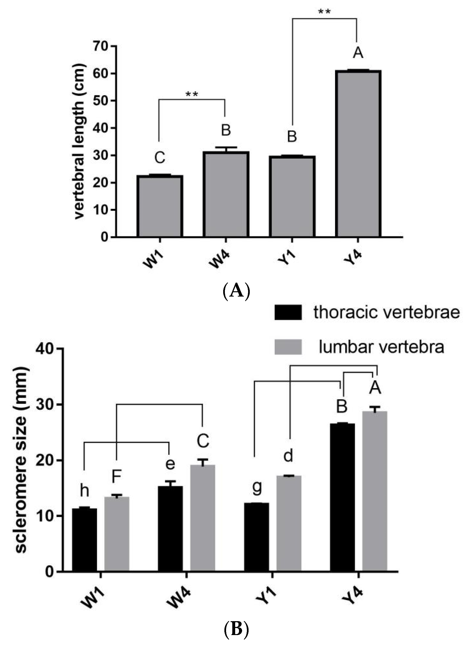 Ijms 24 07257 g001 Ijms 24 07257 g001