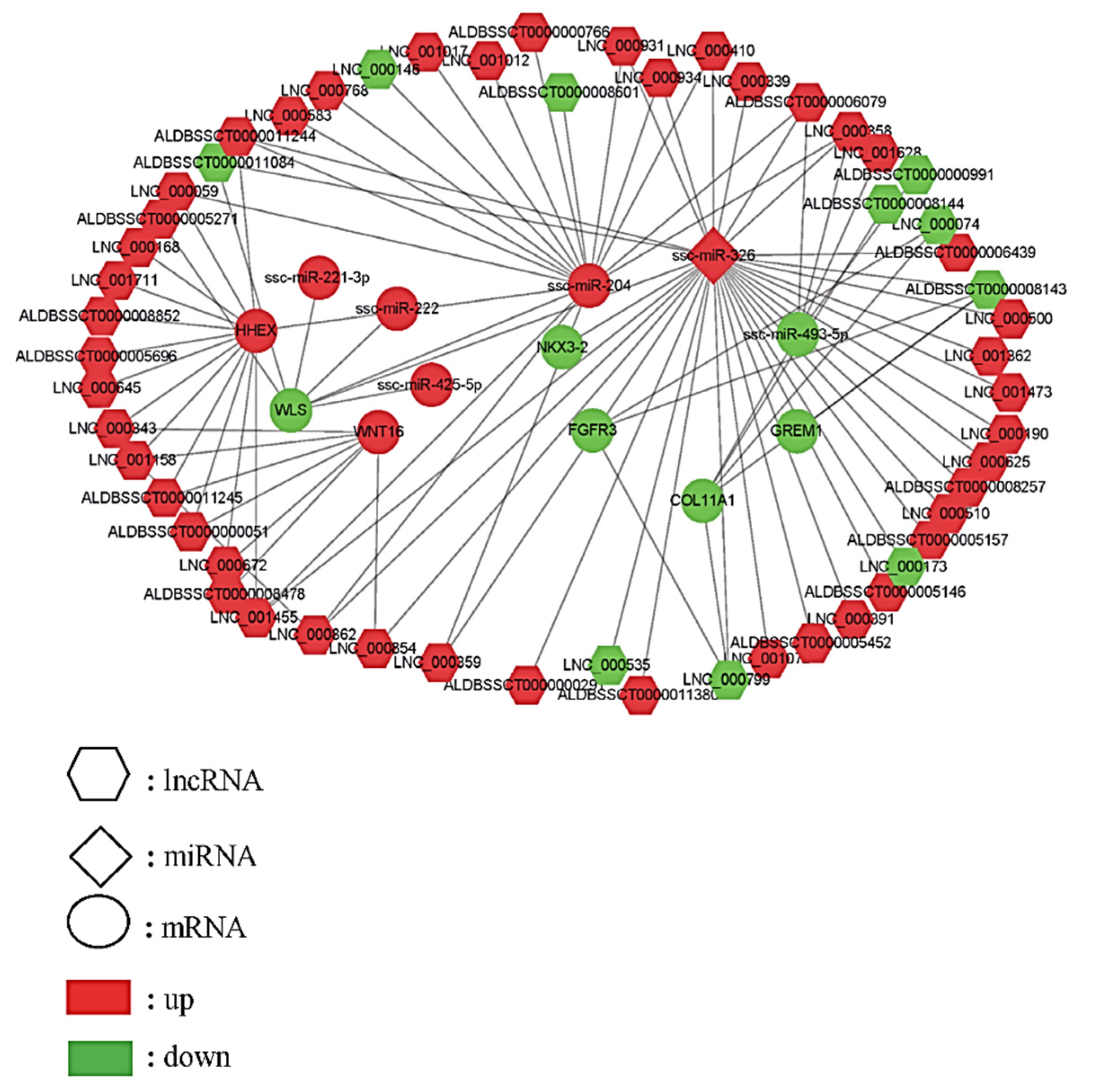 Ijms 24 07257 g003 Ijms 24 07257 g003