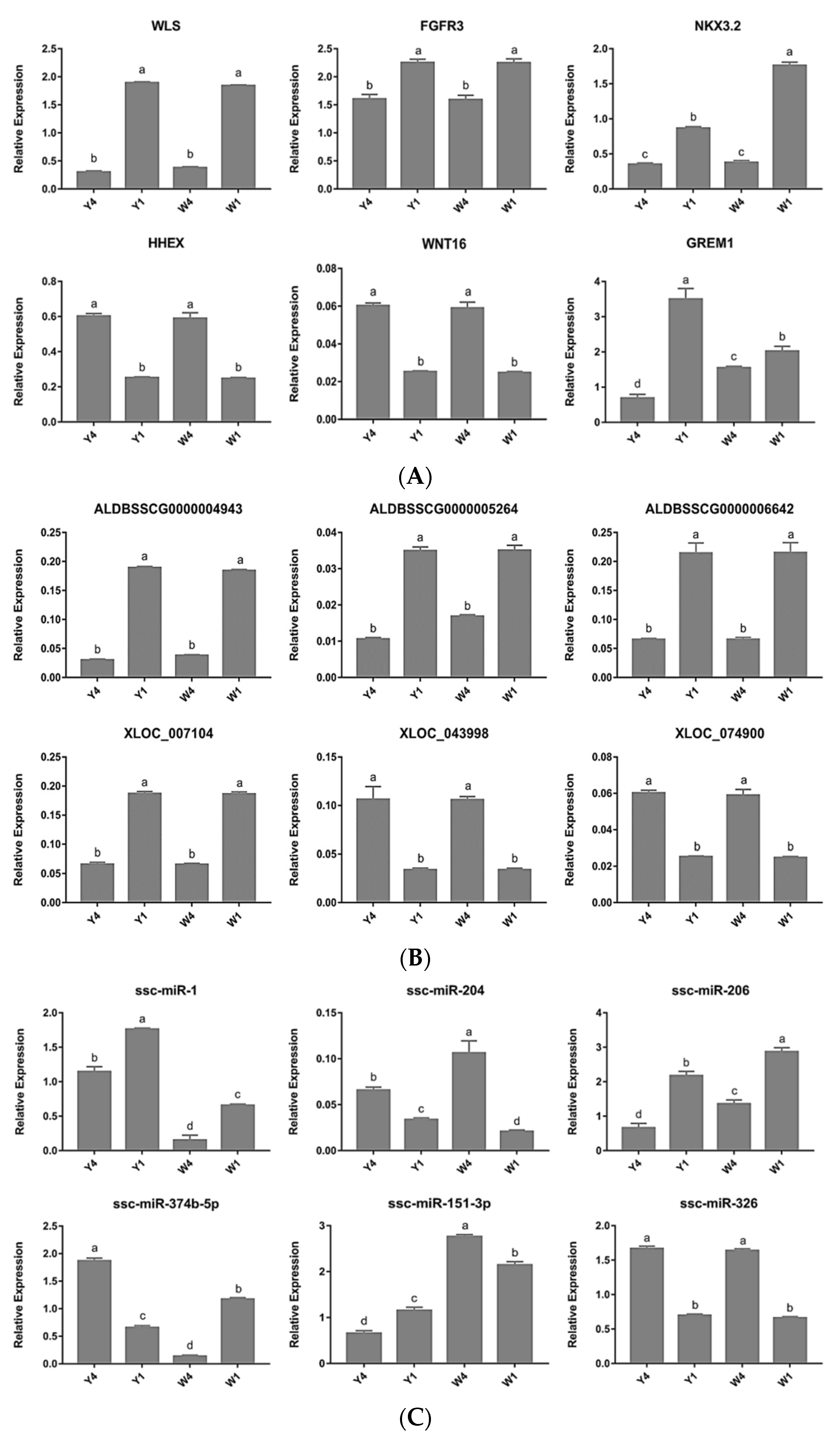 Ijms 24 07257 g004 Ijms 24 07257 g004