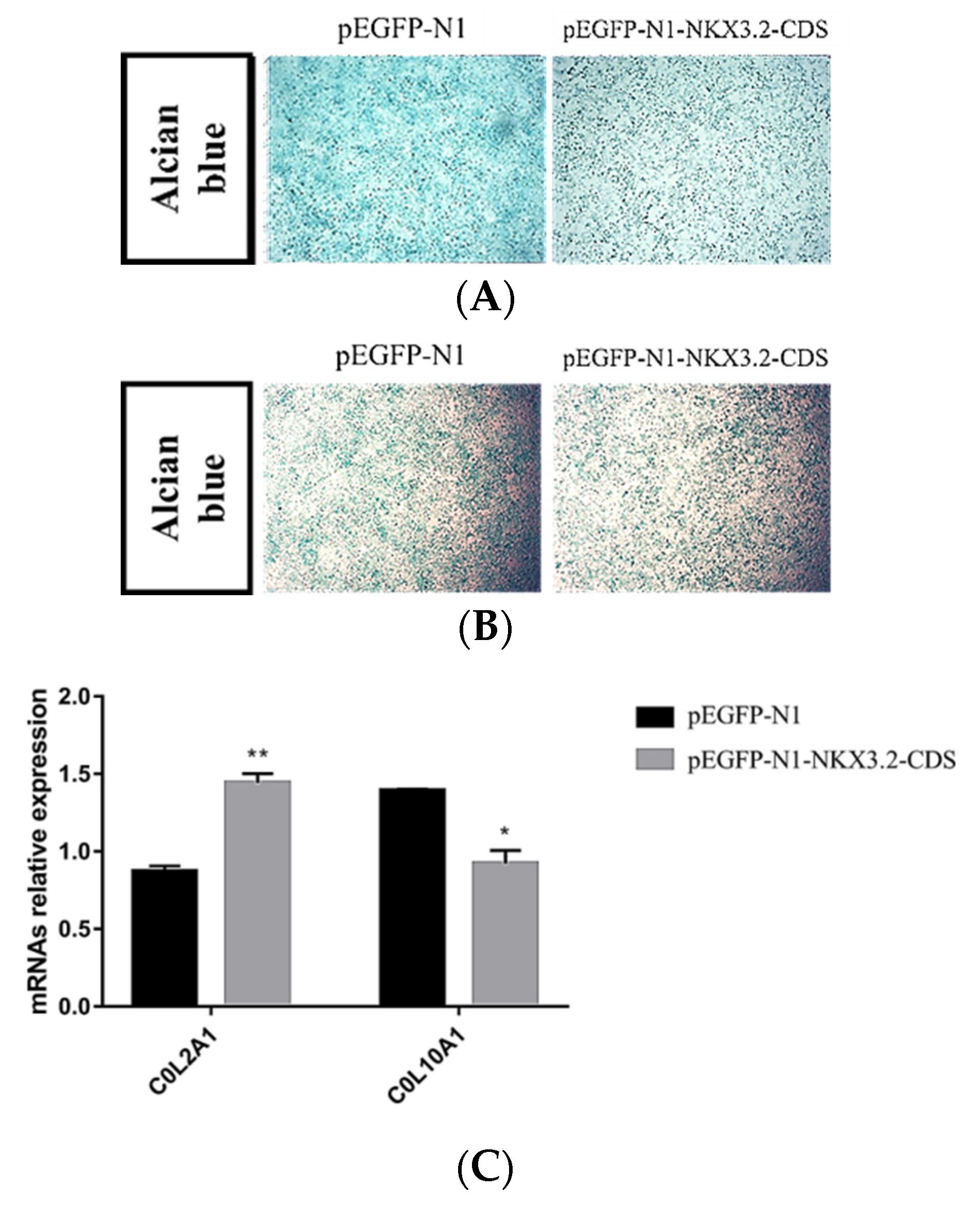 Ijms 24 07257 g006a Ijms 24 07257 g006a