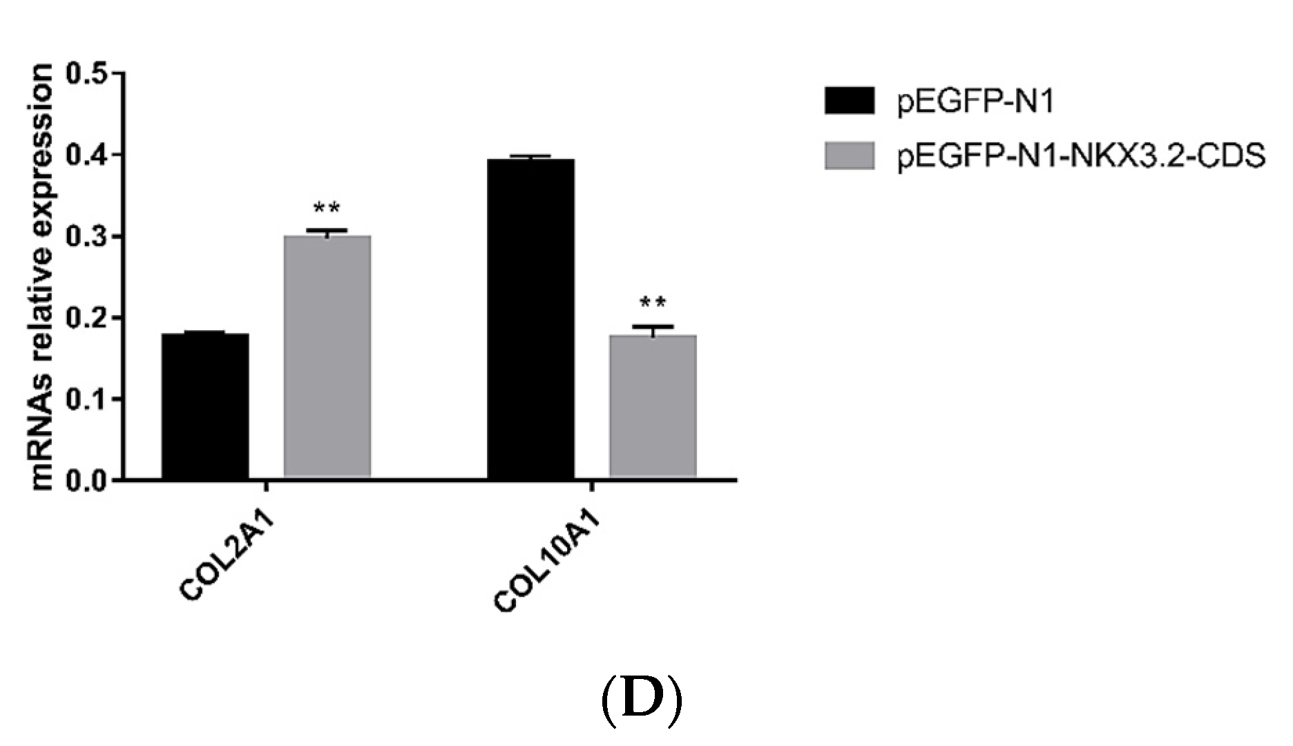 Ijms 24 07257 g006b Ijms 24 07257 g006b