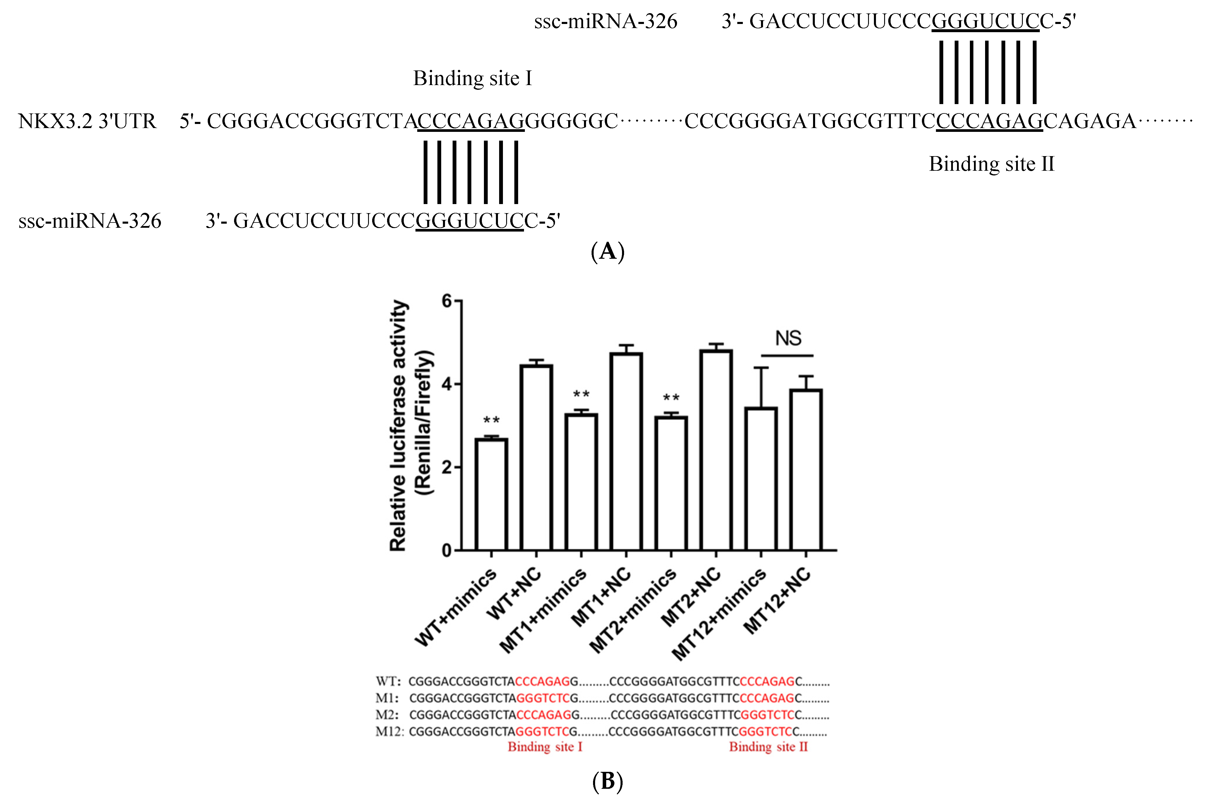 Ijms 24 07257 g007 Ijms 24 07257 g007