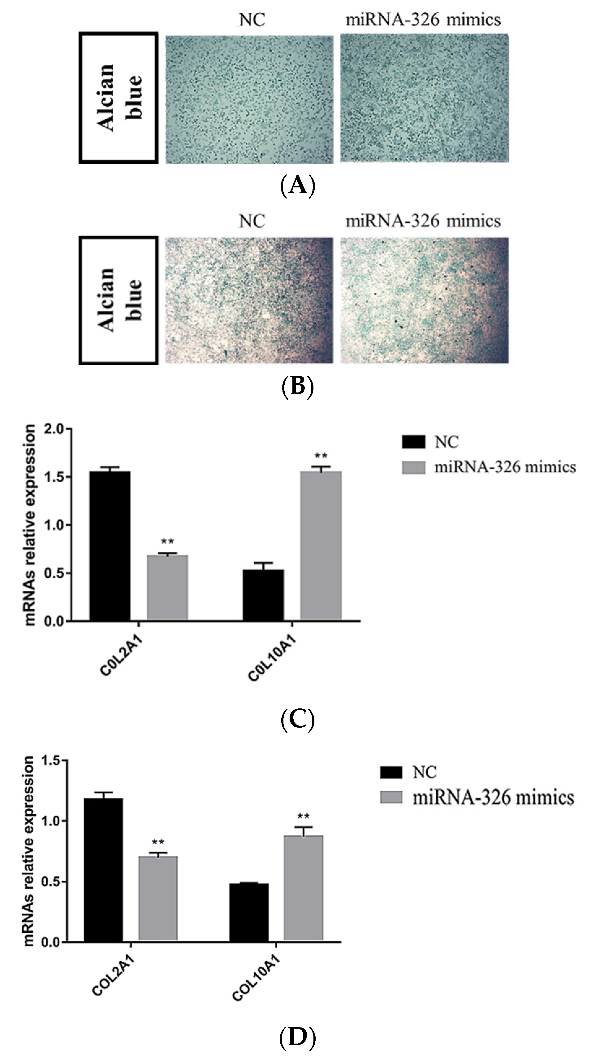 Ijms 24 07257 g008 Ijms 24 07257 g008