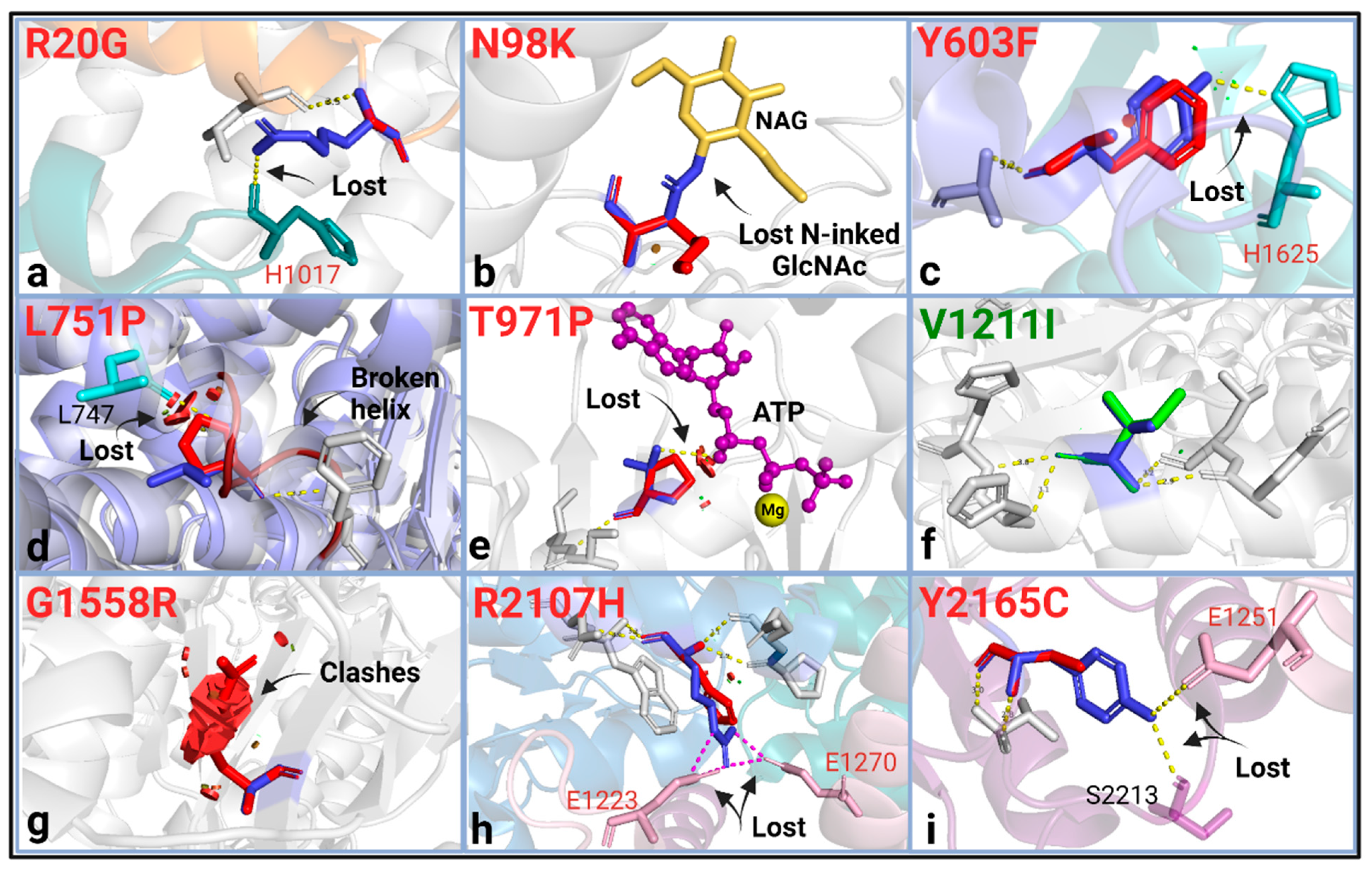 Ijms 24 07280 g003 Ijms 24 07280 g003