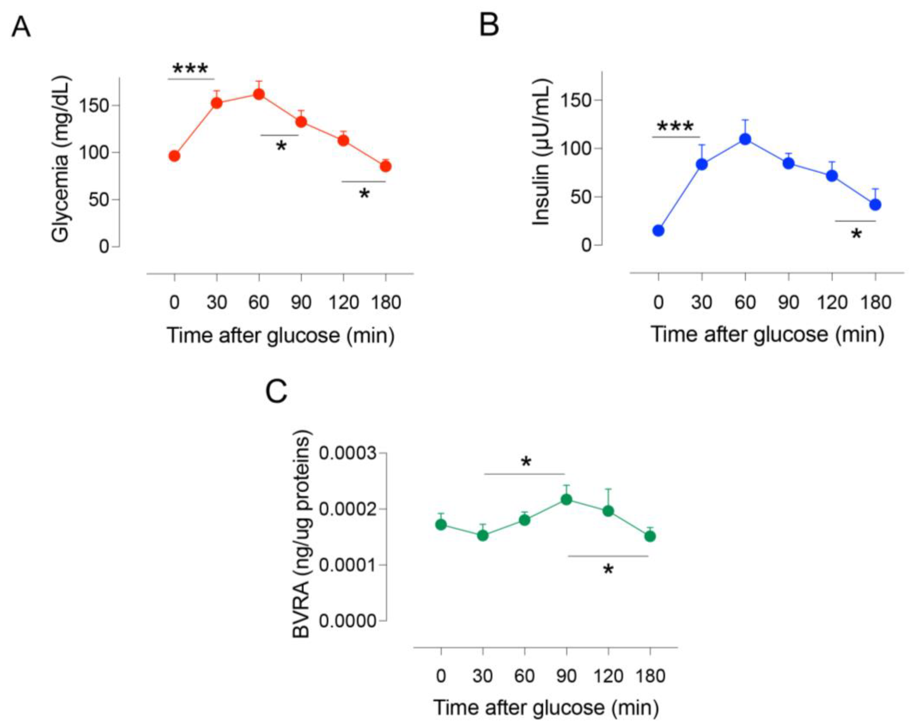 IJMS | Free Full-Text | Dynamic Changes of BVRA Protein Levels Occur in ...