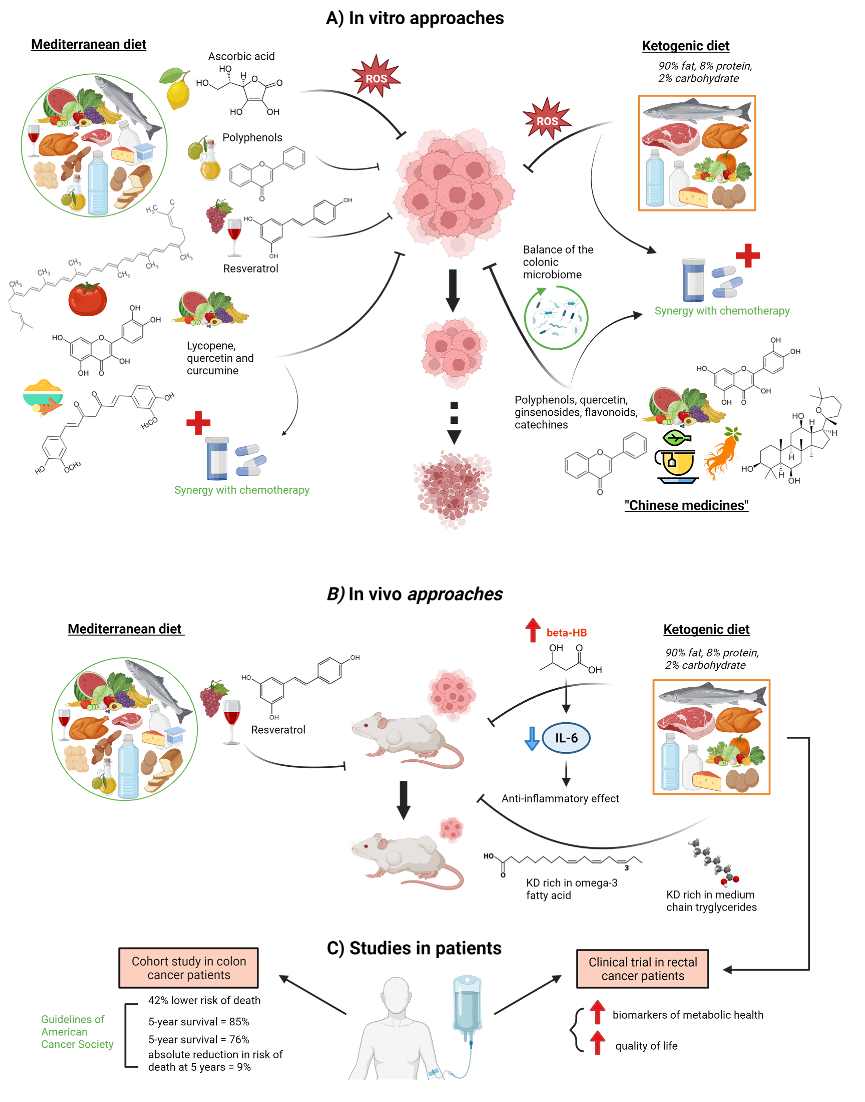 Ijms 24 07317 g001 Ijms 24 07317 g001