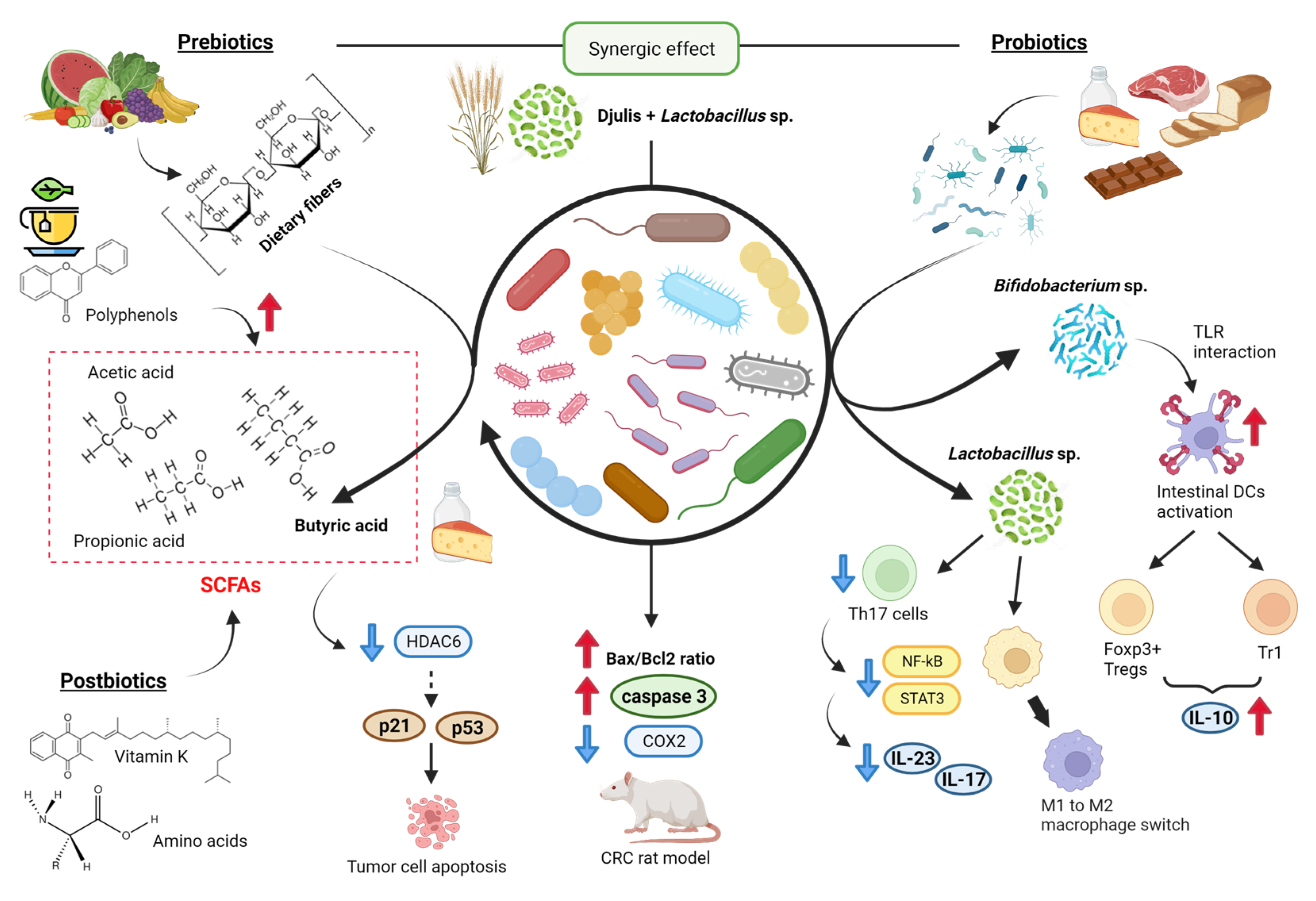 Ijms 24 07317 g003 Ijms 24 07317 g003