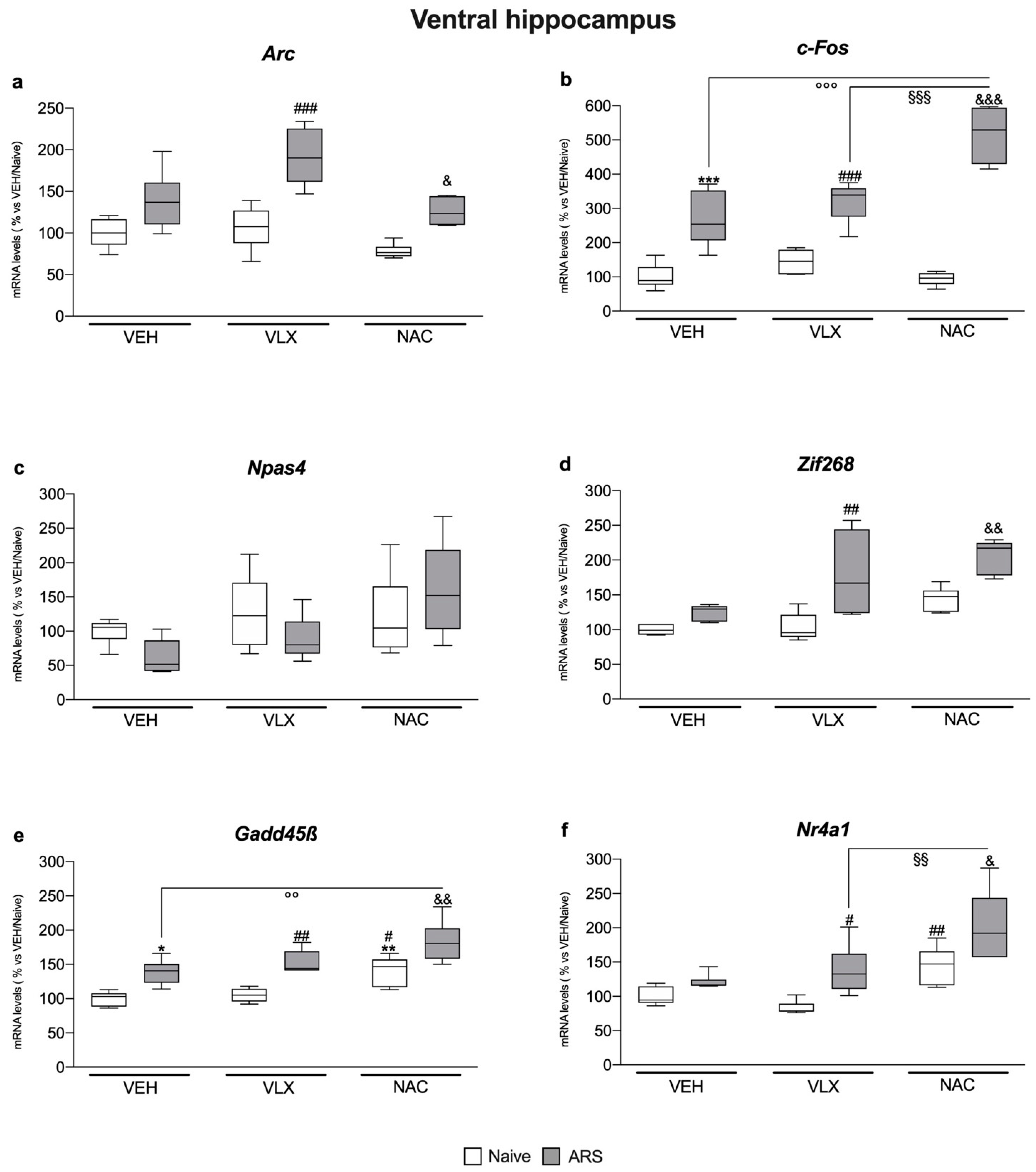 Ijms 24 07321 g001 Ijms 24 07321 g001