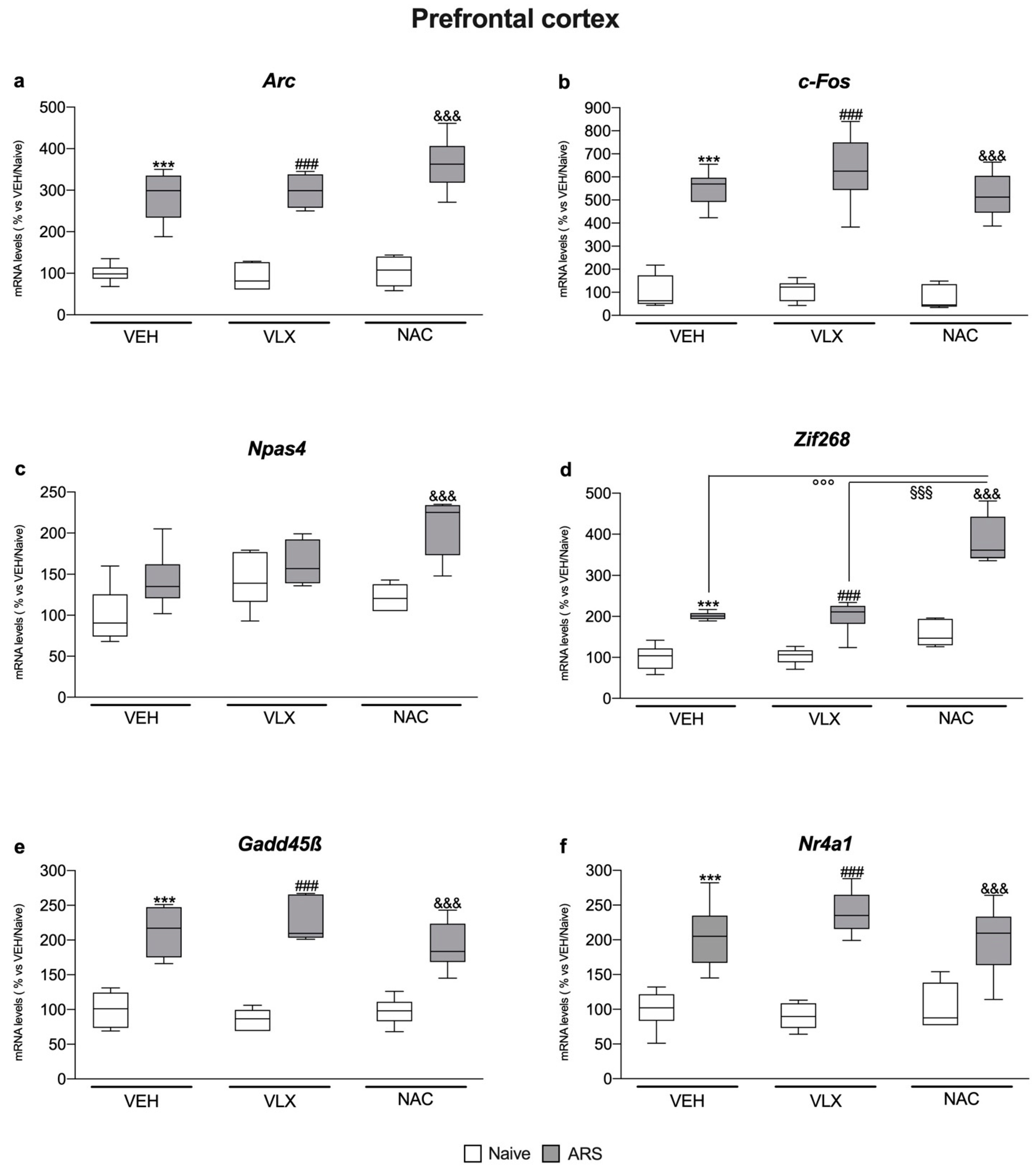 Ijms 24 07321 g003 Ijms 24 07321 g003