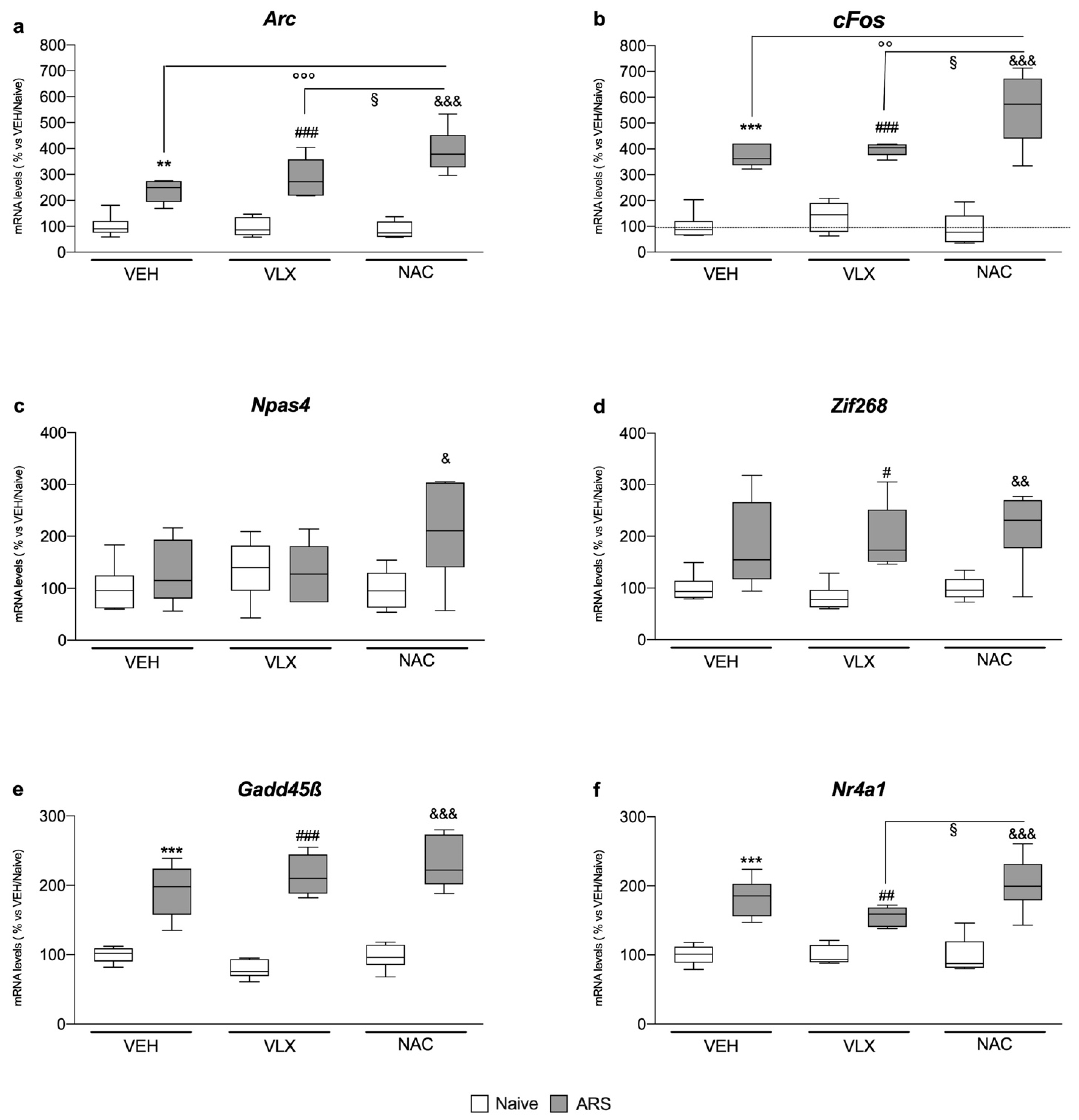 Ijms 24 07321 g004 Ijms 24 07321 g004