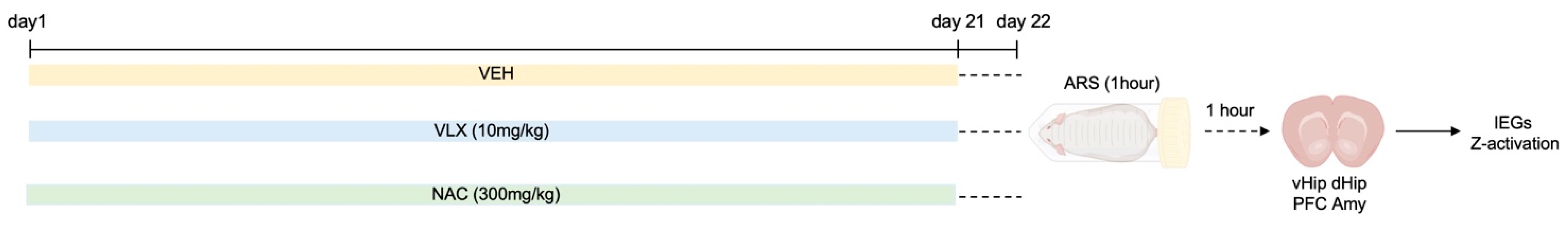 Ijms 24 07321 g006 Ijms 24 07321 g006