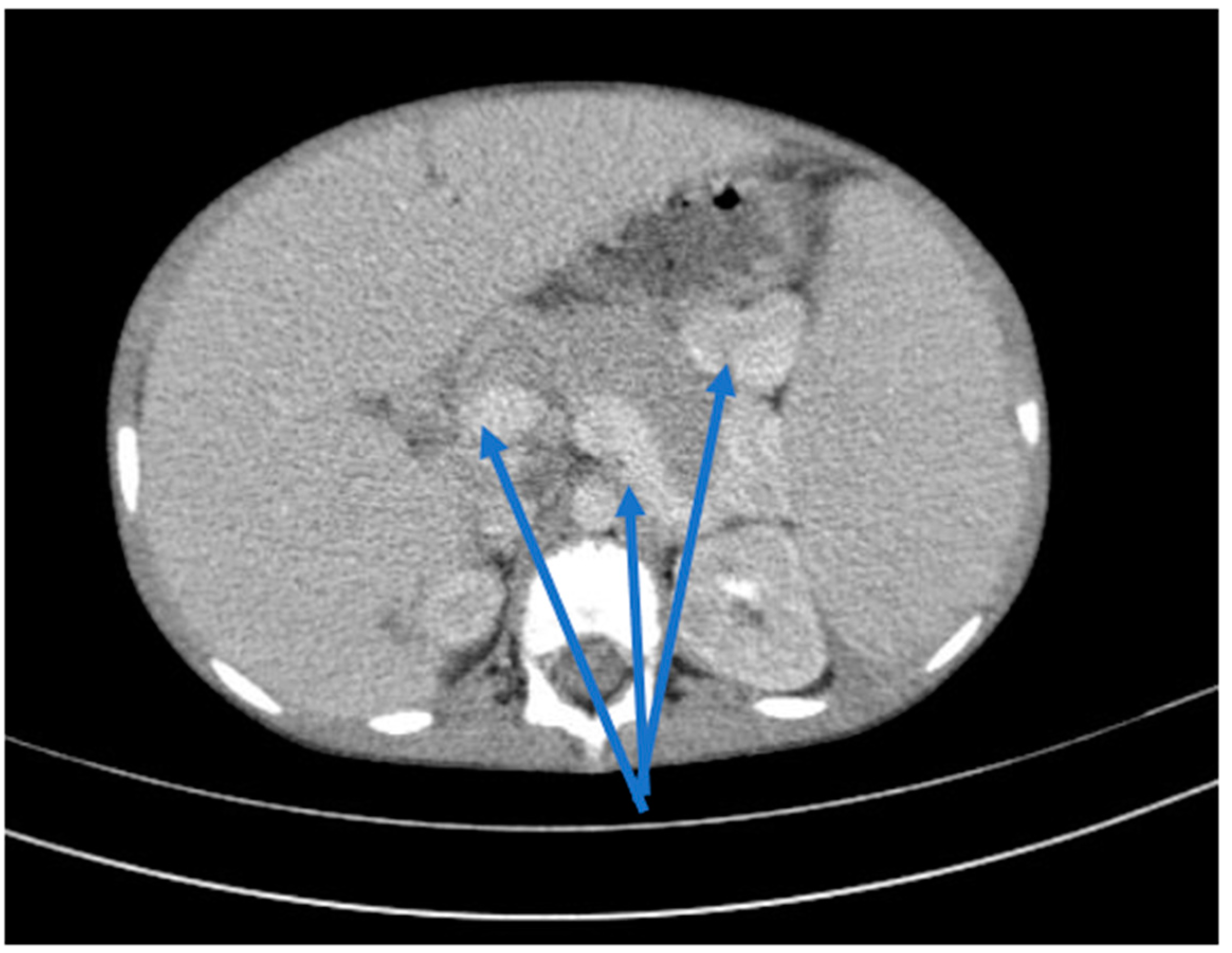 Ijms 24 07327 g003 Ijms 24 07327 g003