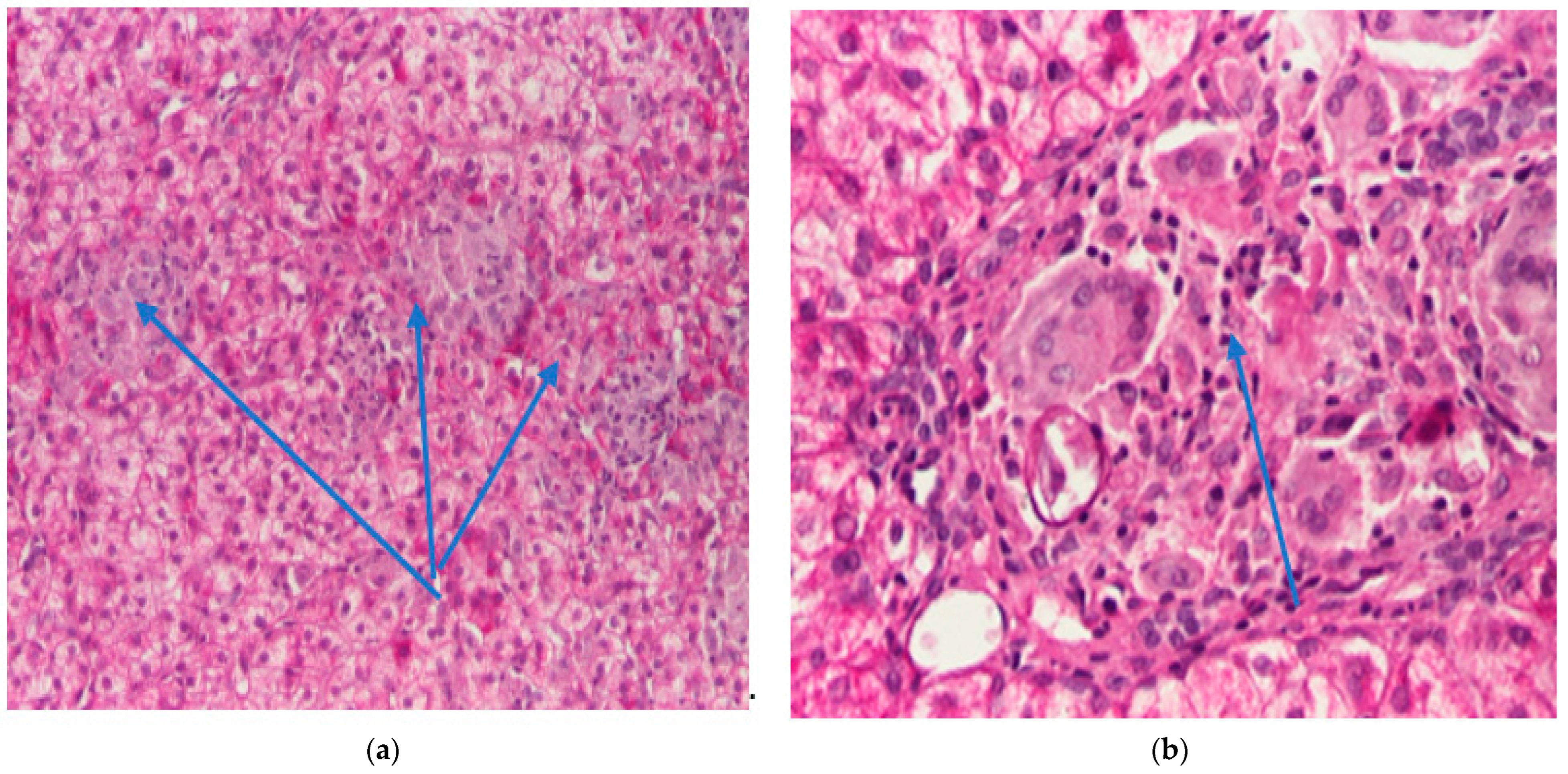 Ijms 24 07327 g005 Ijms 24 07327 g005