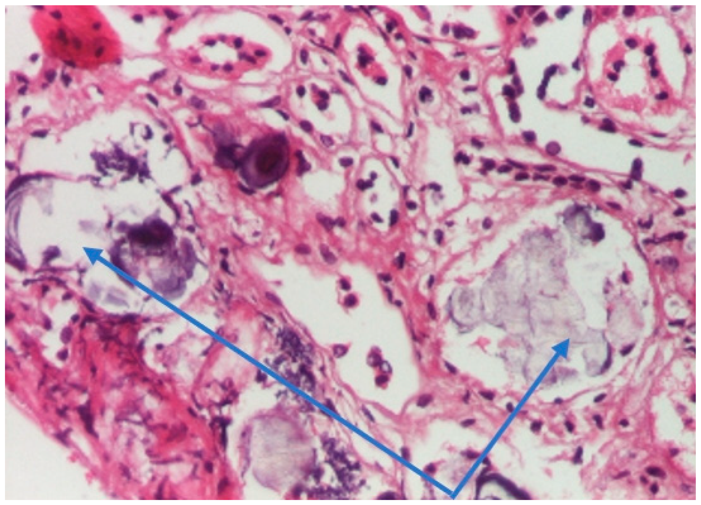 Ijms 24 07327 g008 Ijms 24 07327 g008