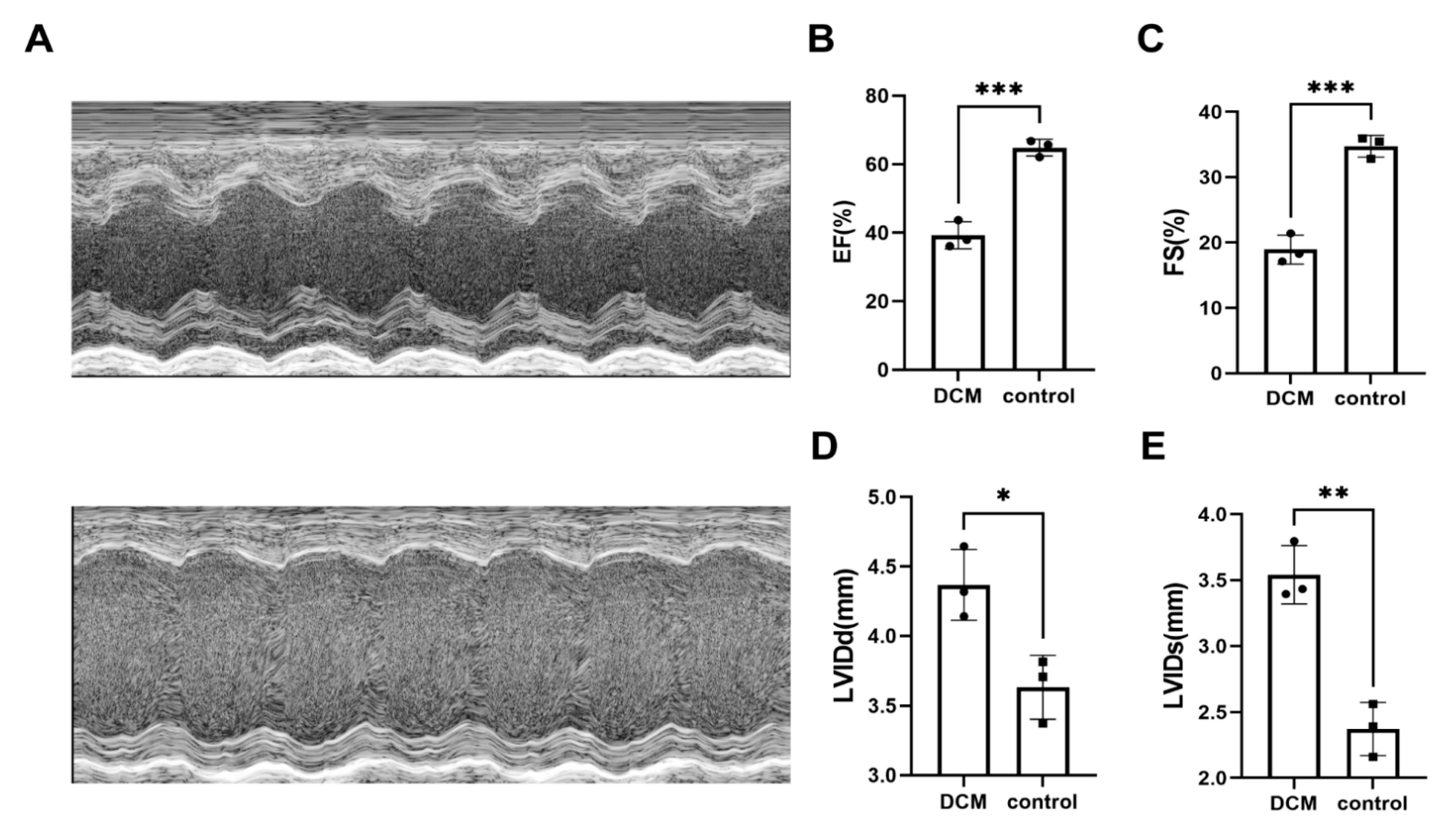 Ijms 24 07339 g004 Ijms 24 07339 g004