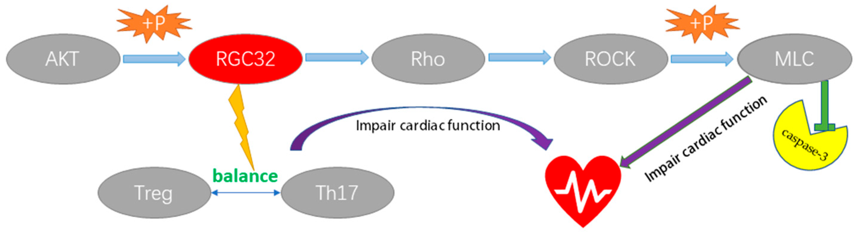 Ijms 24 07339 g007 Ijms 24 07339 g007