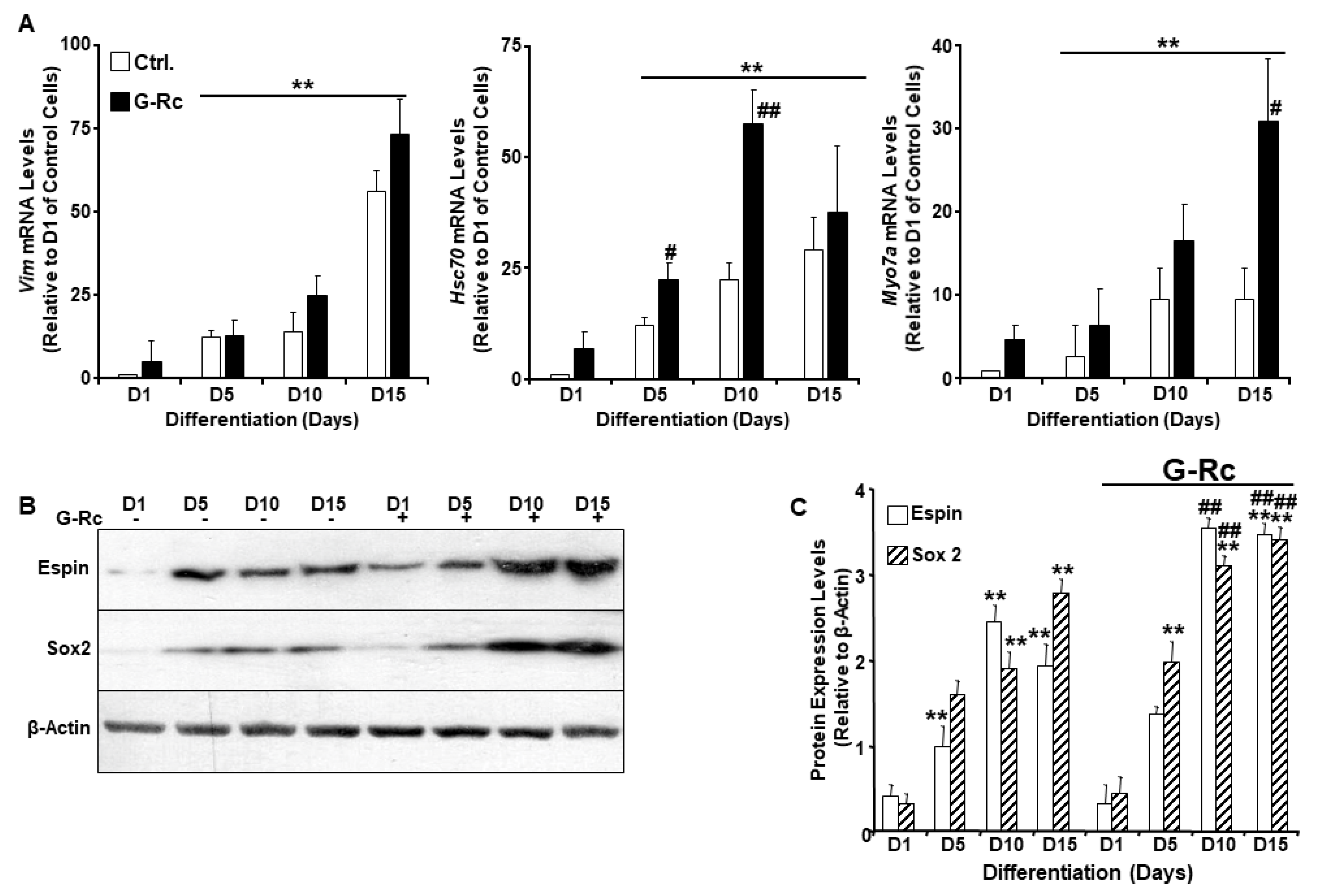 Ijms 24 07345 g003 Ijms 24 07345 g003