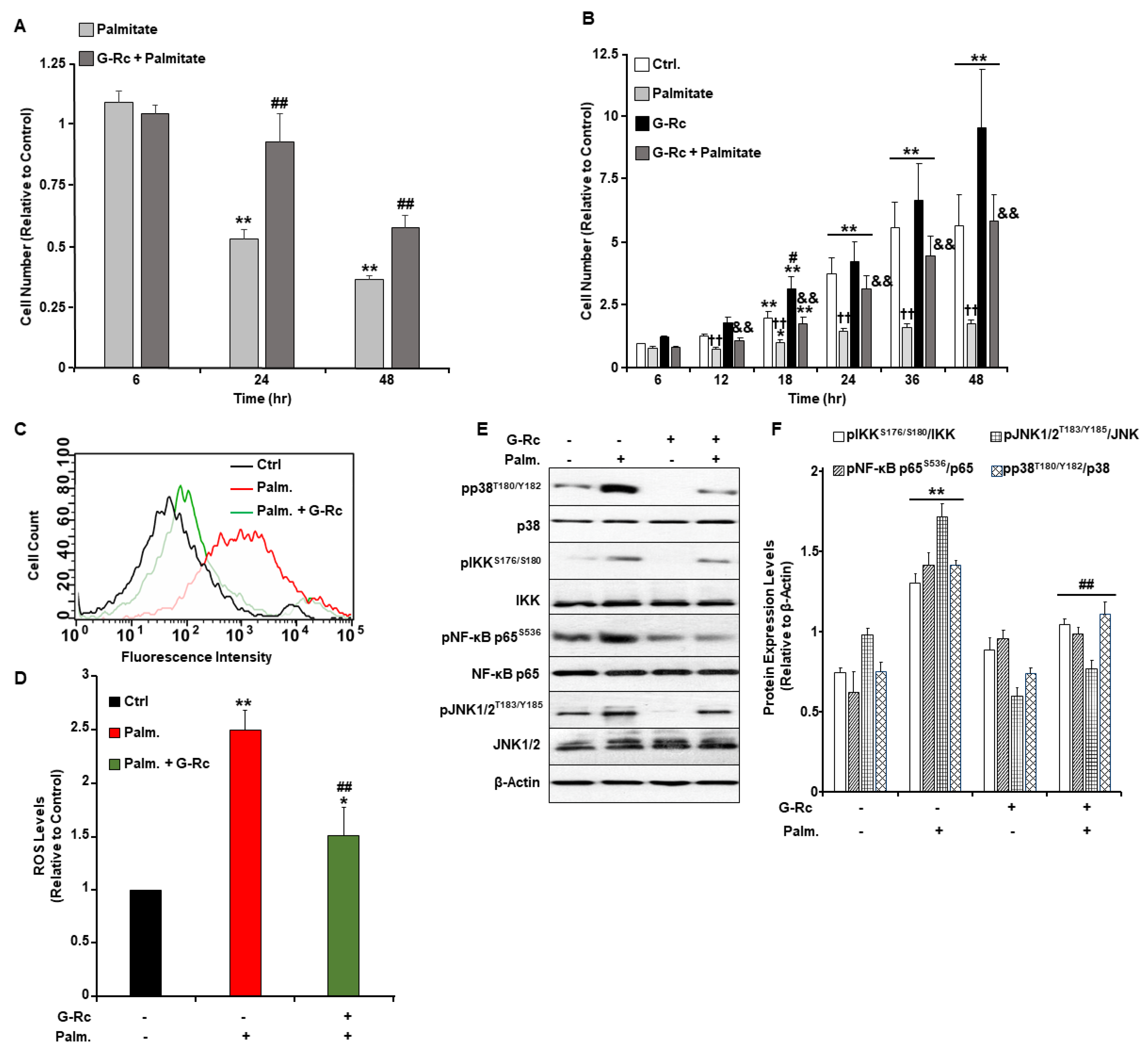 Ijms 24 07345 g004 Ijms 24 07345 g004