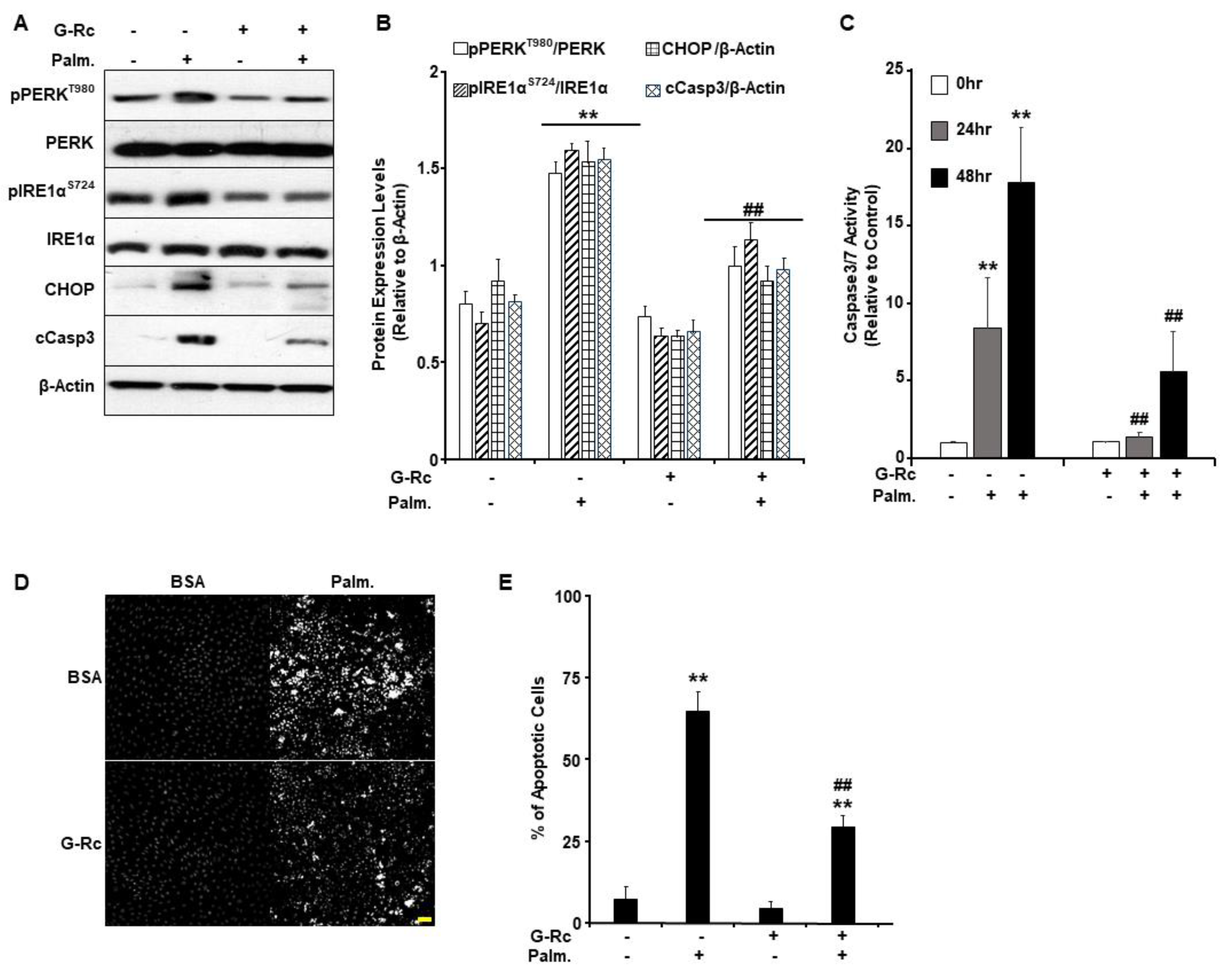Ijms 24 07345 g005 Ijms 24 07345 g005