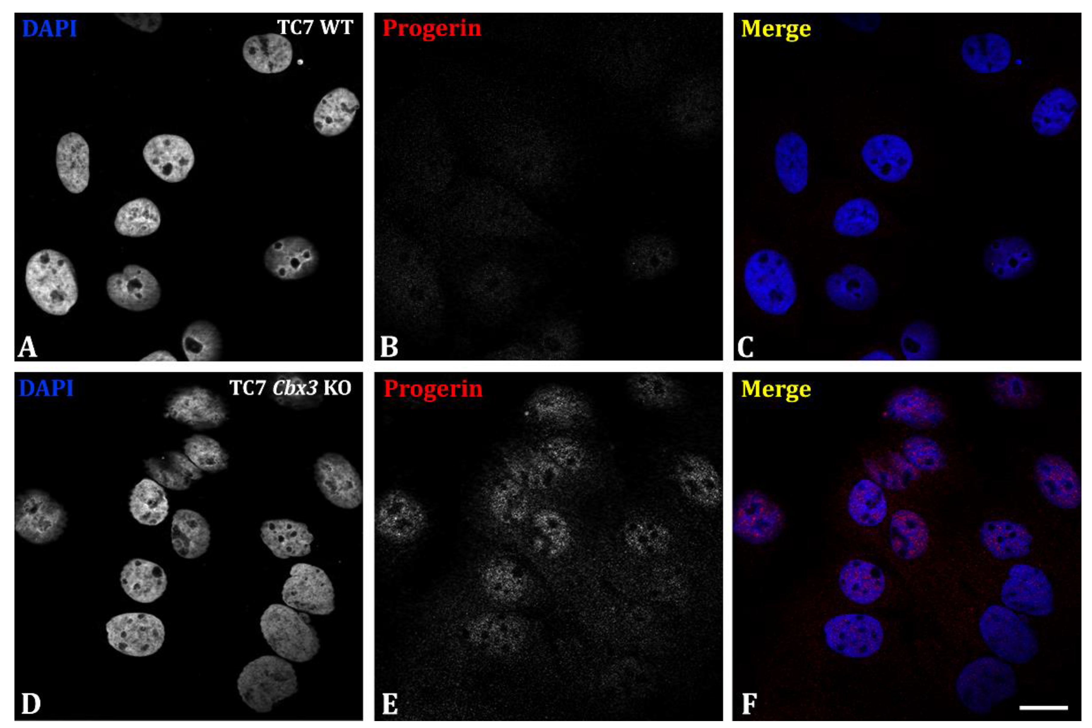 Ijms 24 07347 g002 Ijms 24 07347 g002