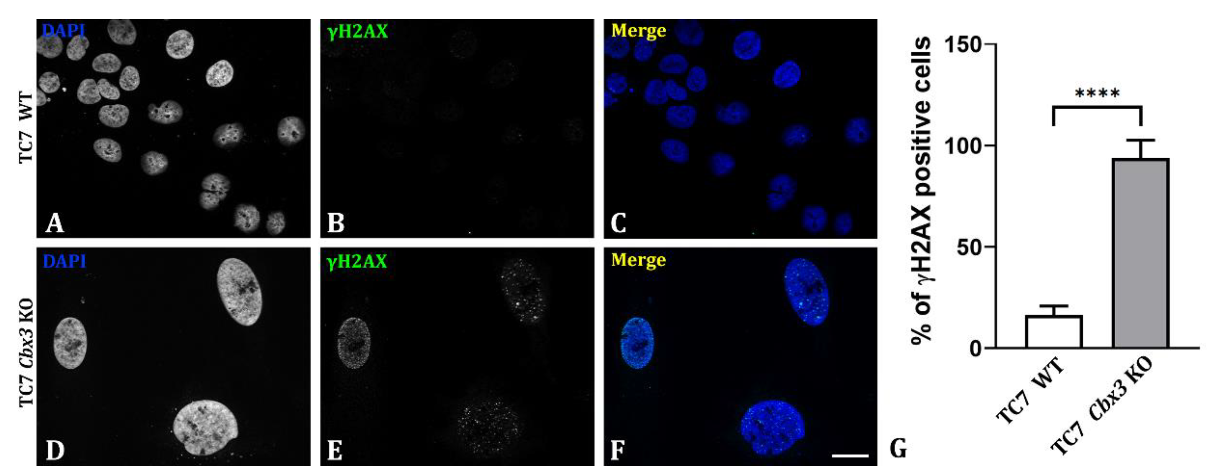 Ijms 24 07347 g005 Ijms 24 07347 g005