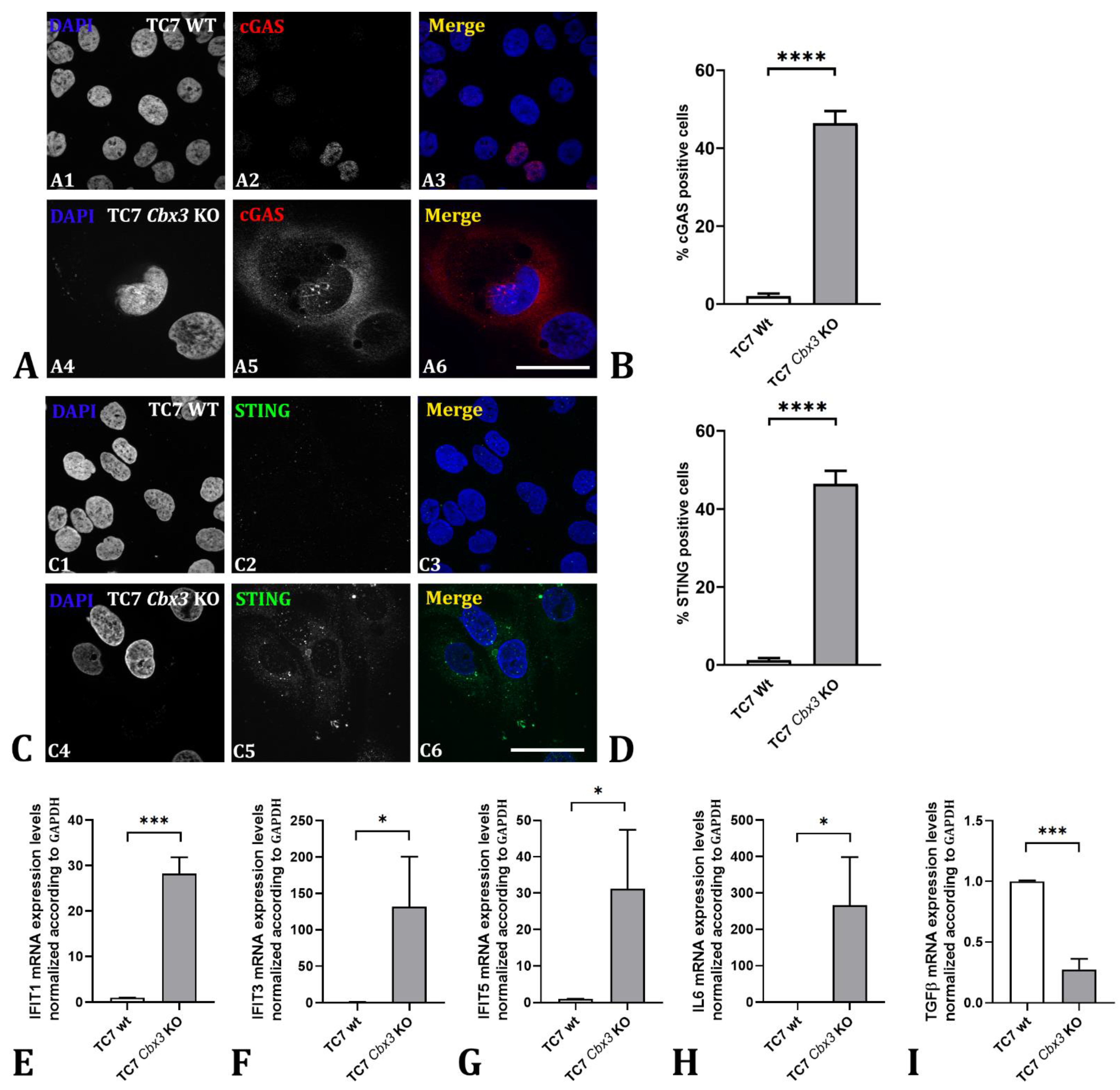Ijms 24 07347 g006 Ijms 24 07347 g006