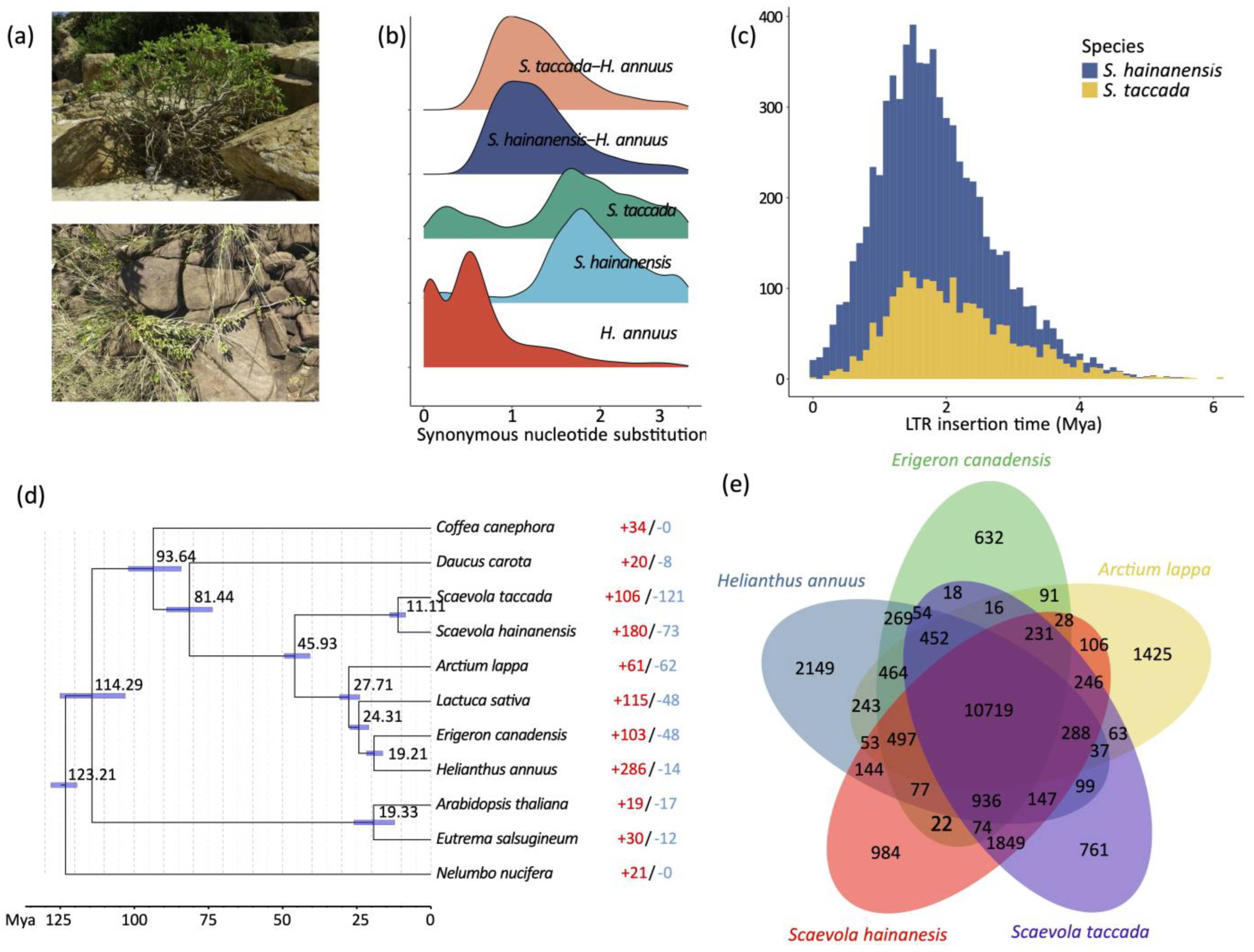 Ijms 24 07355 g002 Ijms 24 07355 g002