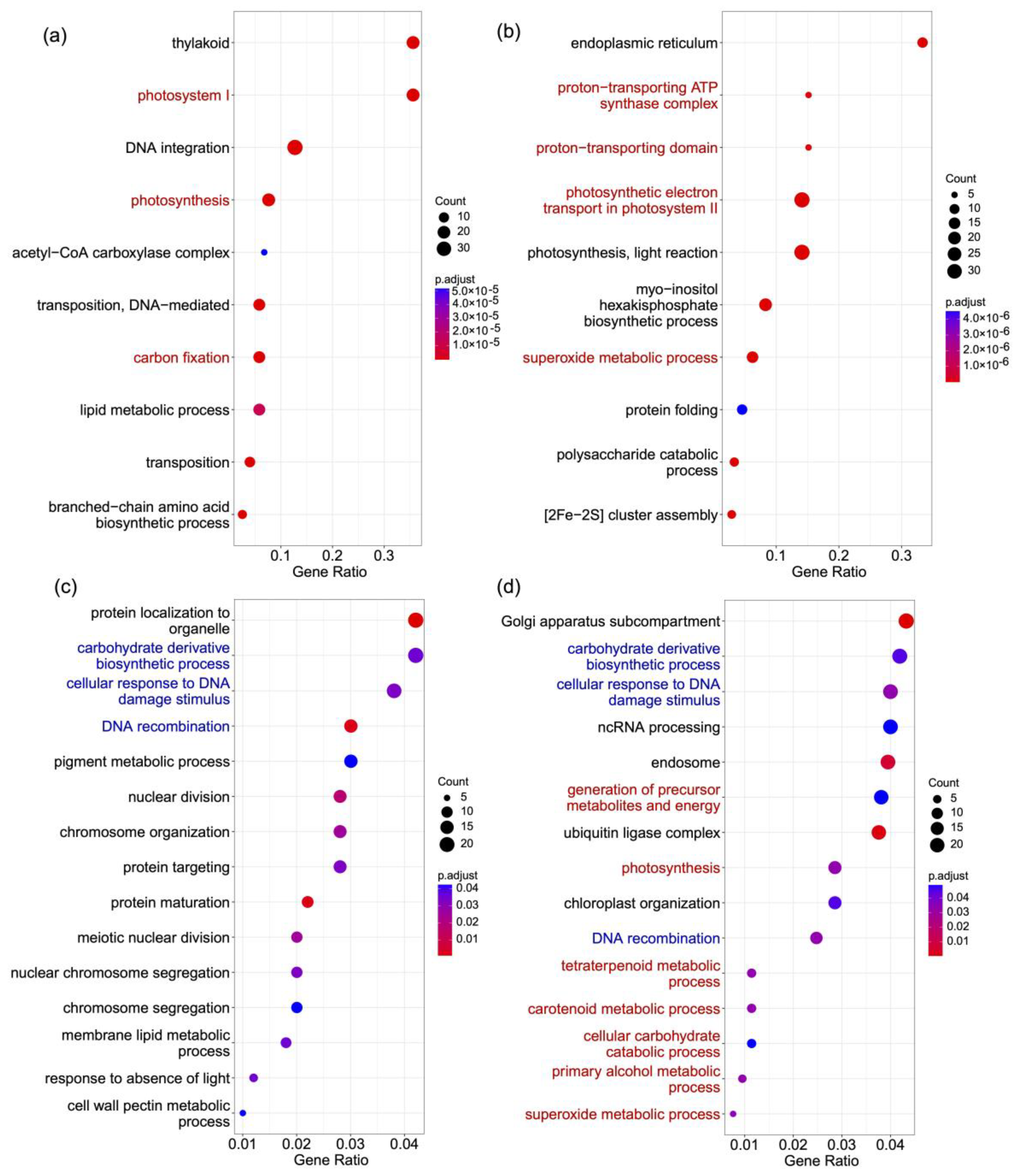 Ijms 24 07355 g003 Ijms 24 07355 g003