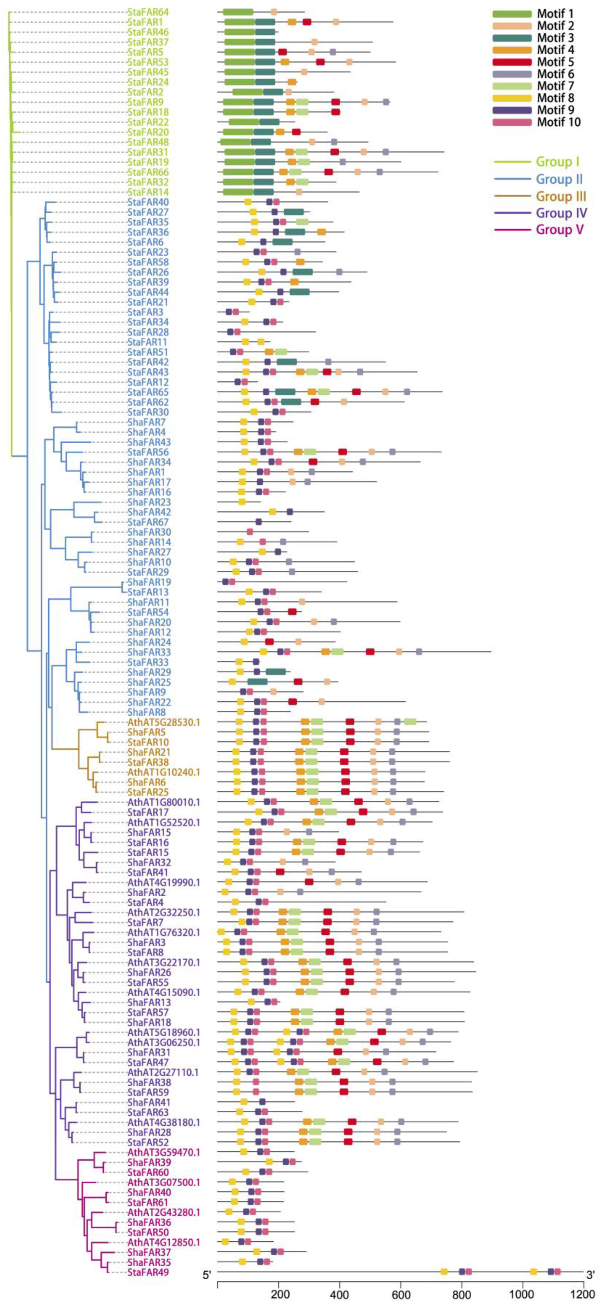Ijms 24 07355 g004 Ijms 24 07355 g004