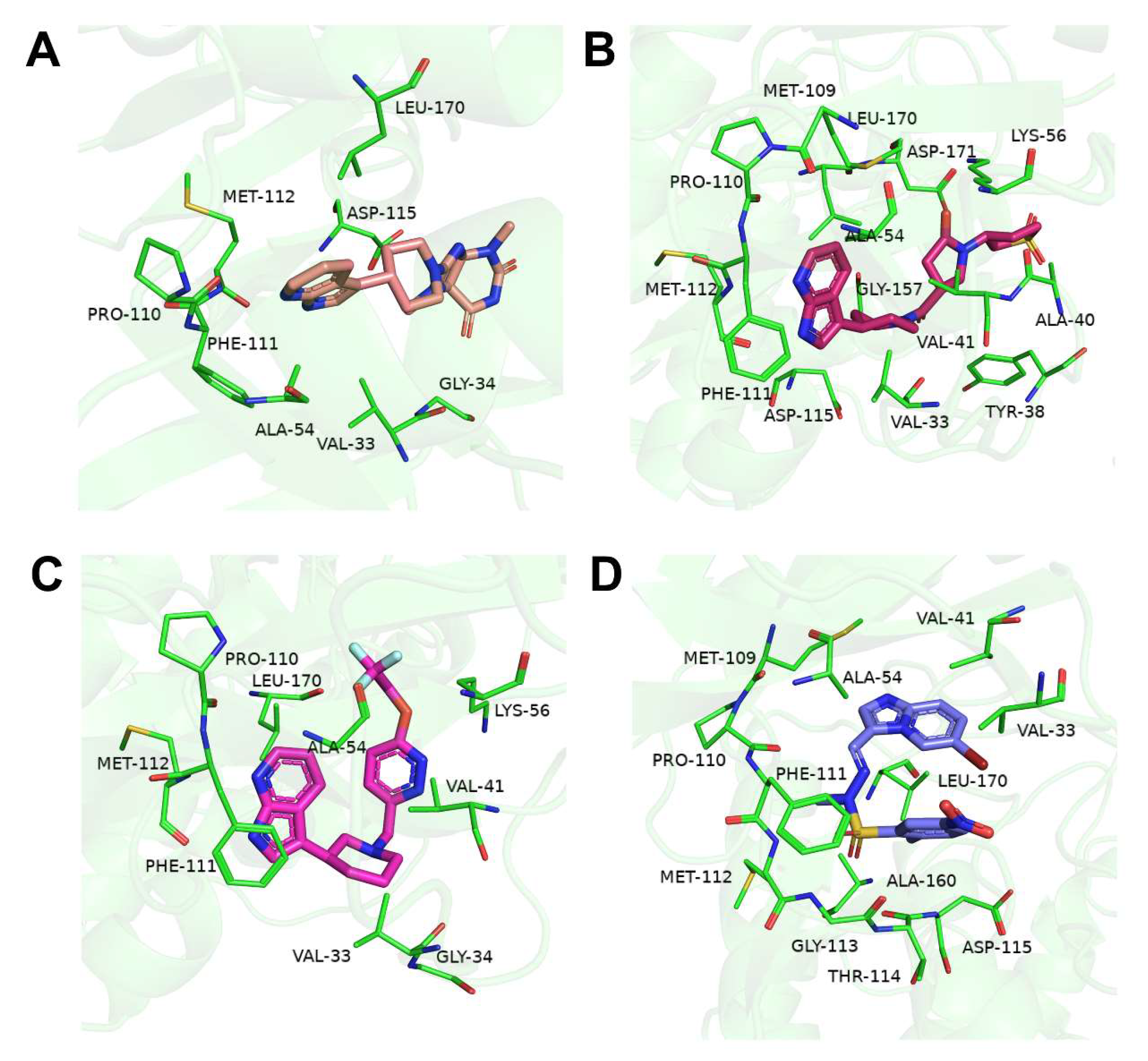 Ijms 24 07360 g006 Ijms 24 07360 g006