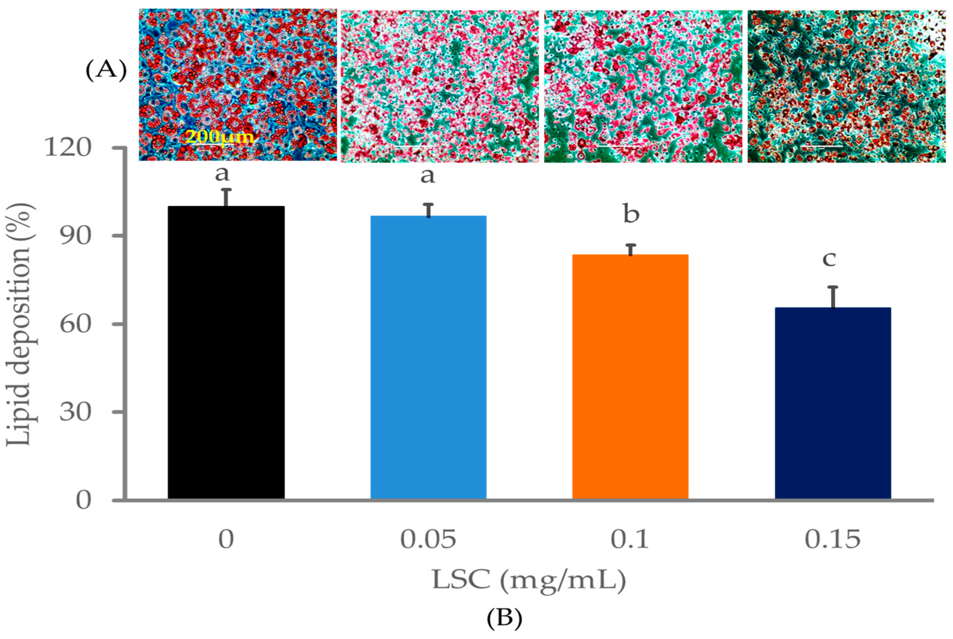Ijms 24 07367 g002 Ijms 24 07367 g002