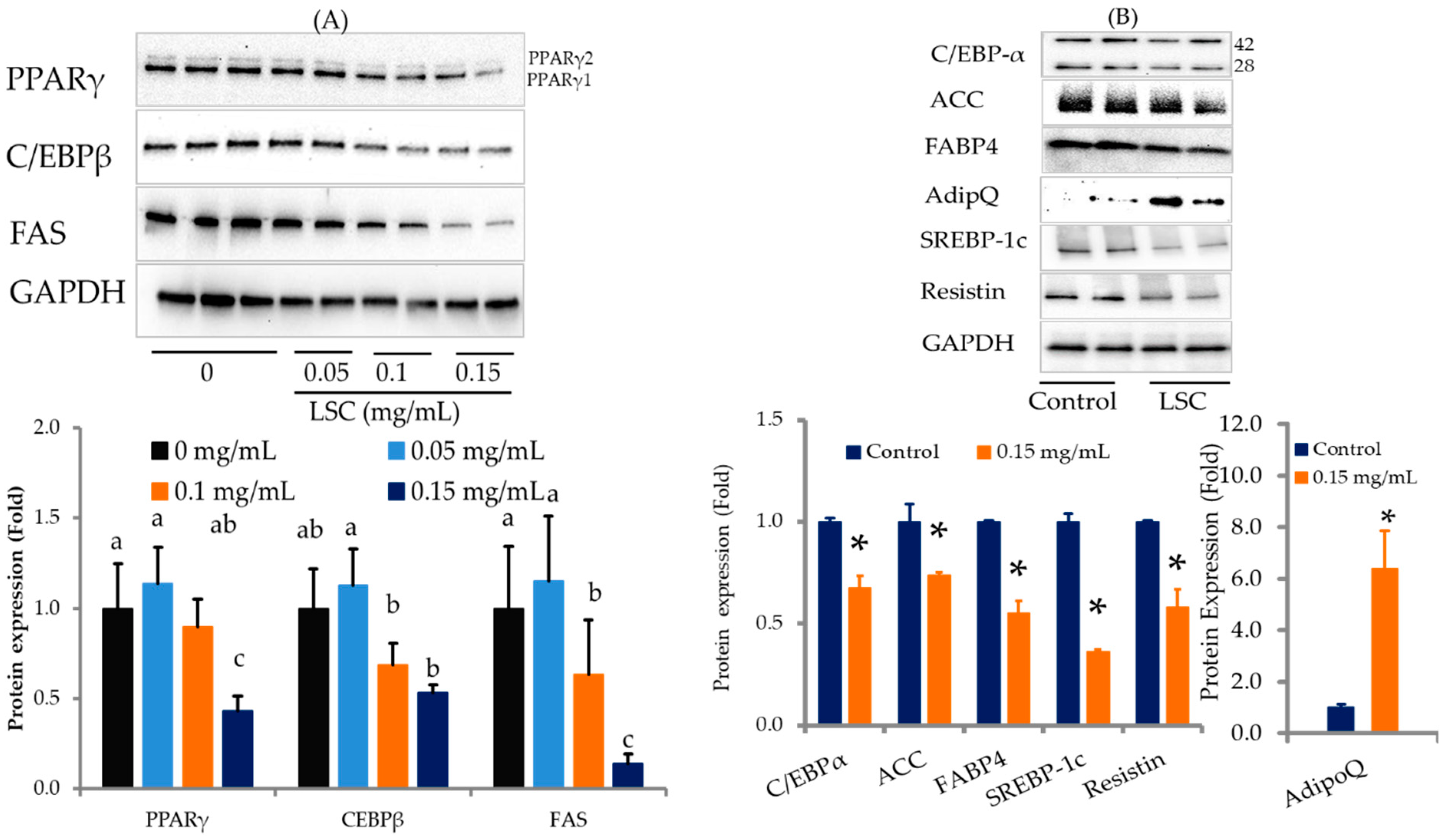 Ijms 24 07367 g003 Ijms 24 07367 g003
