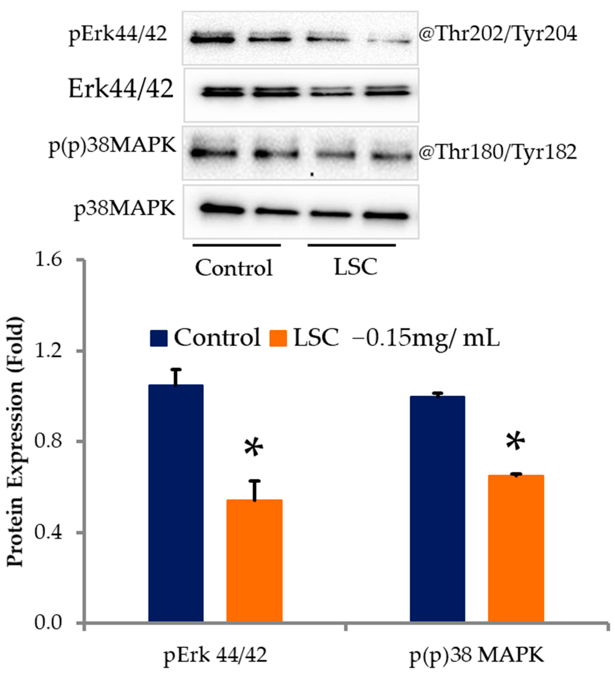 Ijms 24 07367 g005 Ijms 24 07367 g005
