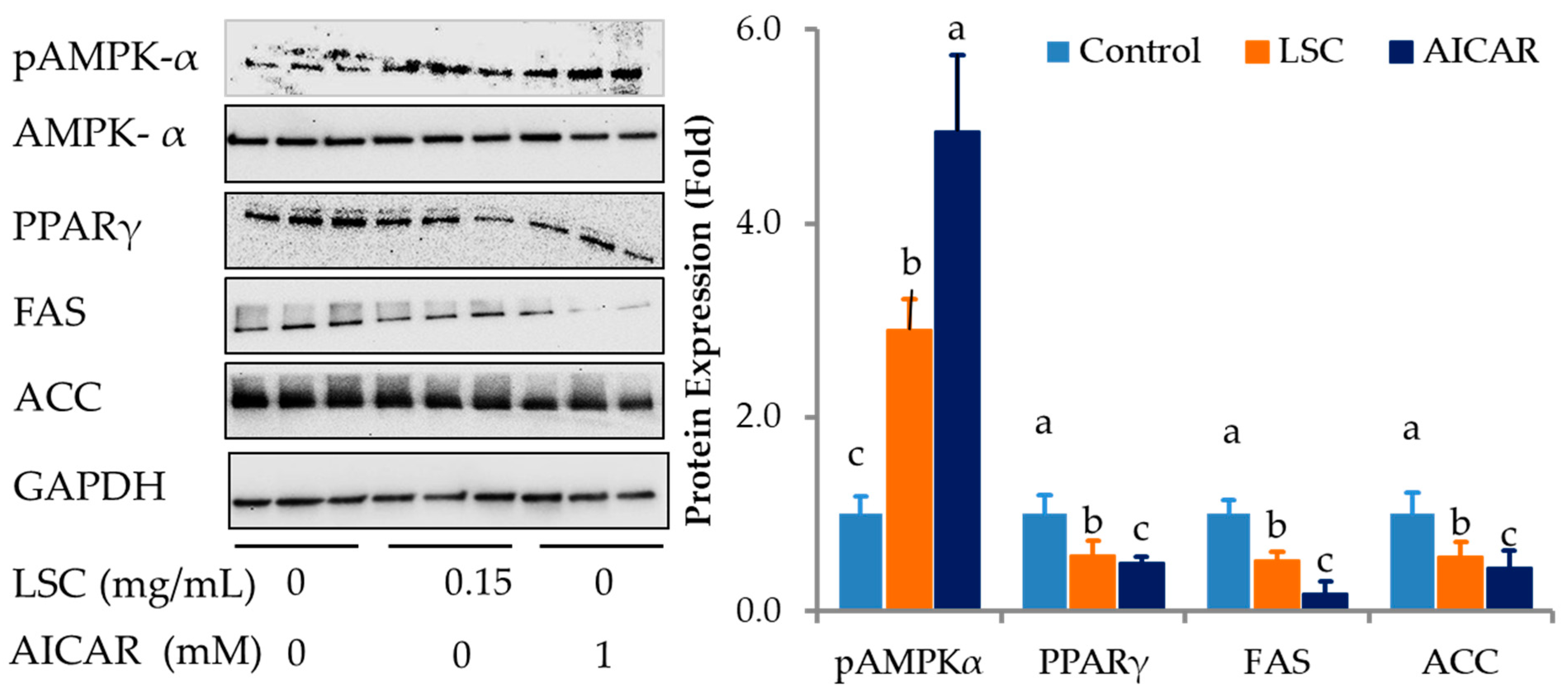 Ijms 24 07367 g006 Ijms 24 07367 g006