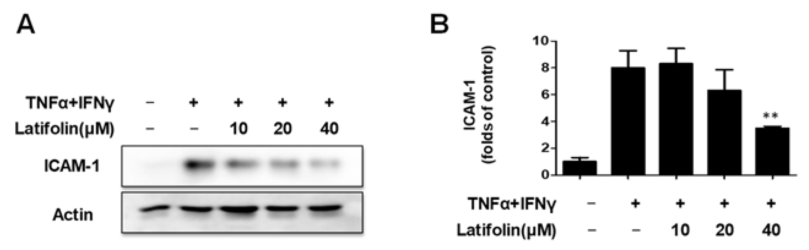 Ijms 24 07371 g002 Ijms 24 07371 g002