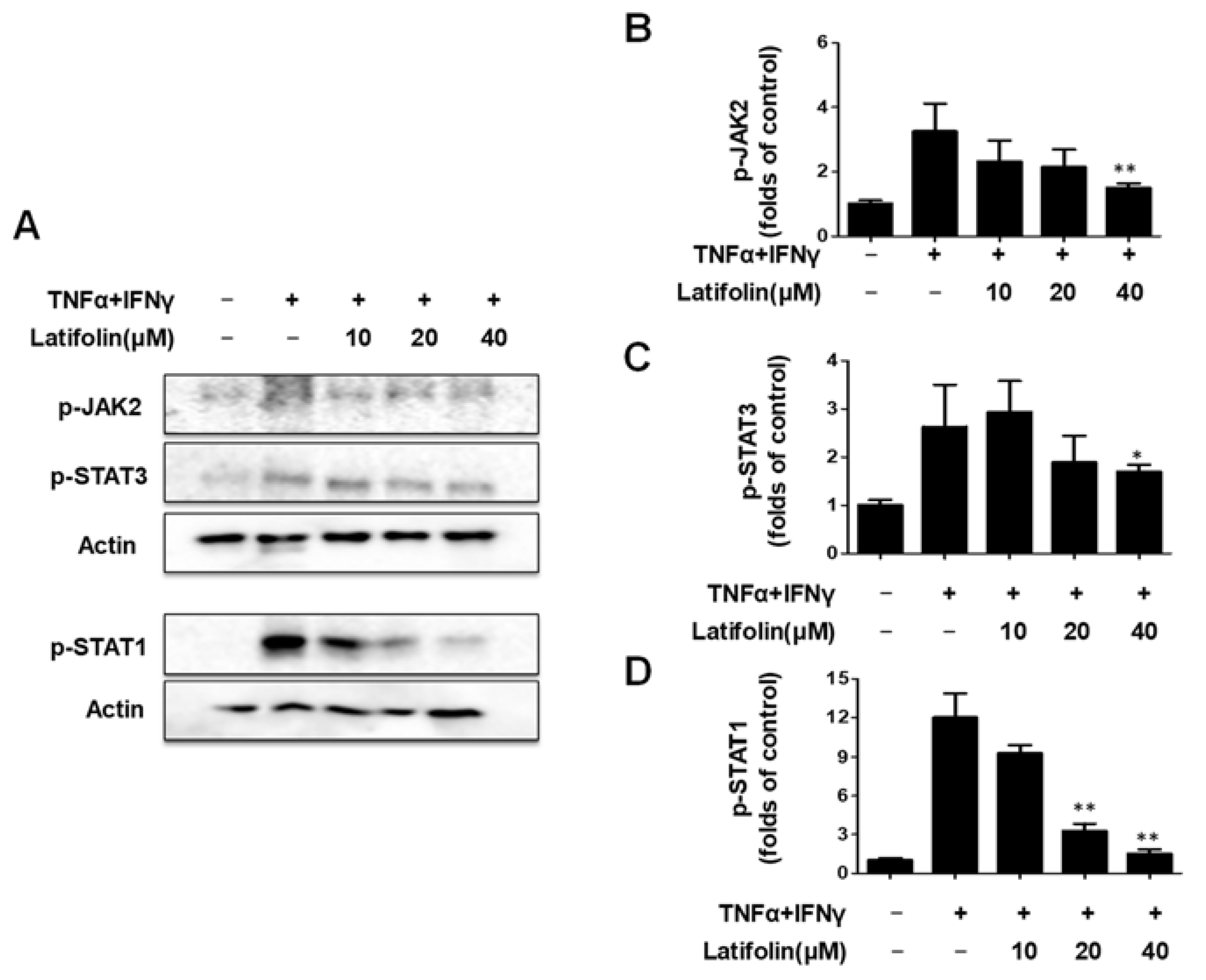 Ijms 24 07371 g003 Ijms 24 07371 g003