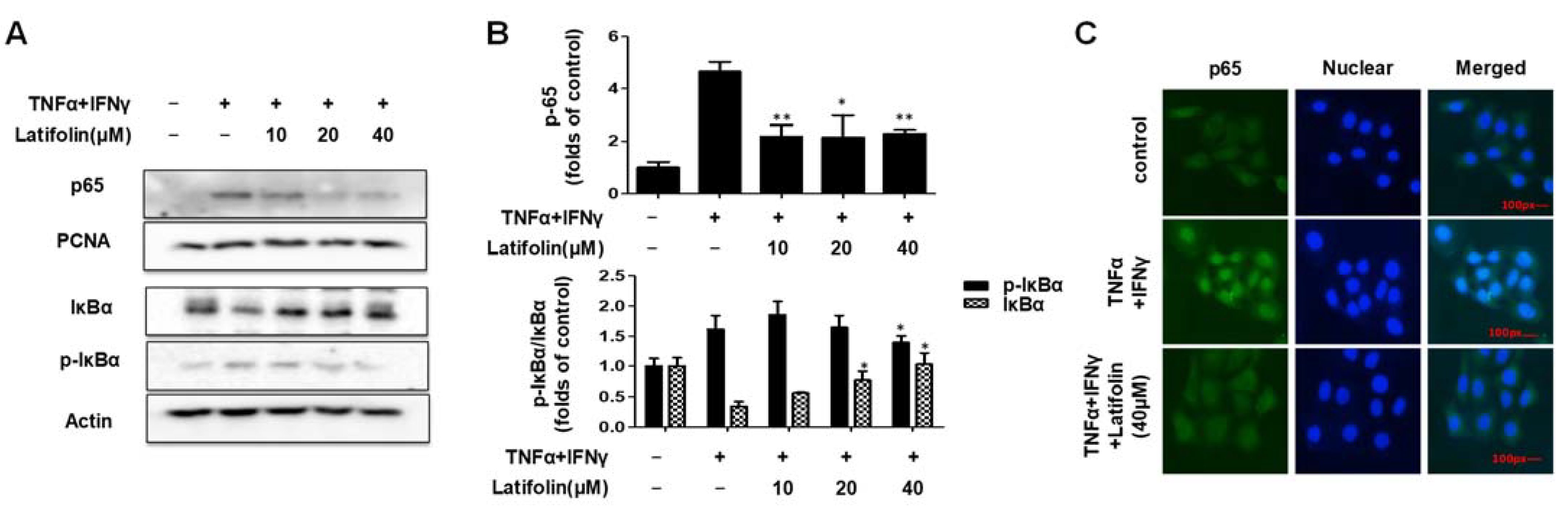 Ijms 24 07371 g004 Ijms 24 07371 g004